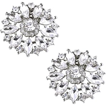 elegantpark shoe clips