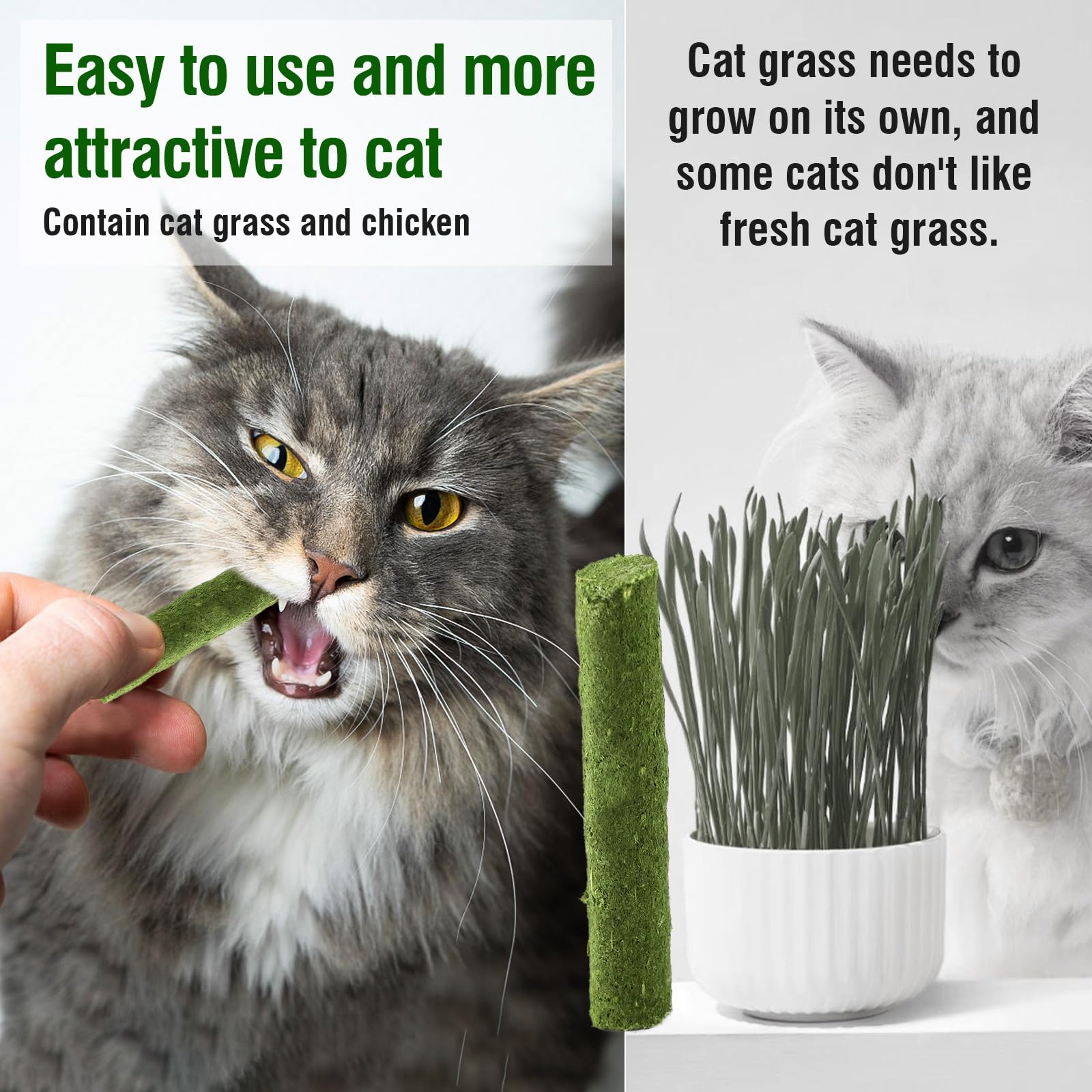 120g Herbe À Chat Bâton De Dentition Boules De Poils, Bâtons À Mâcher pour Chats, Bâtons De Jouets À L’Herbe À Chat Bâtonnets Chaton D’intérieur Bâton À Mâche (120g)