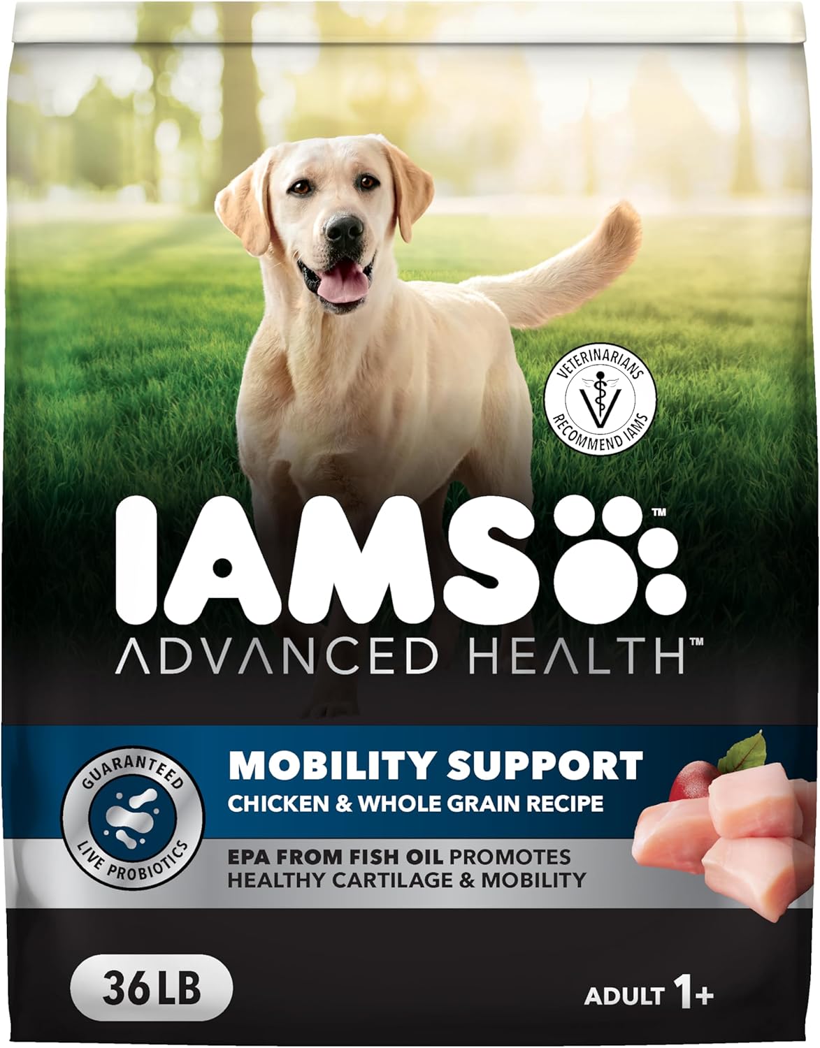 IAMS Advanced Health Mobility Support Chicken and Whole Grain Recipe Adult Dry Dog Food, 36 lb. Bag