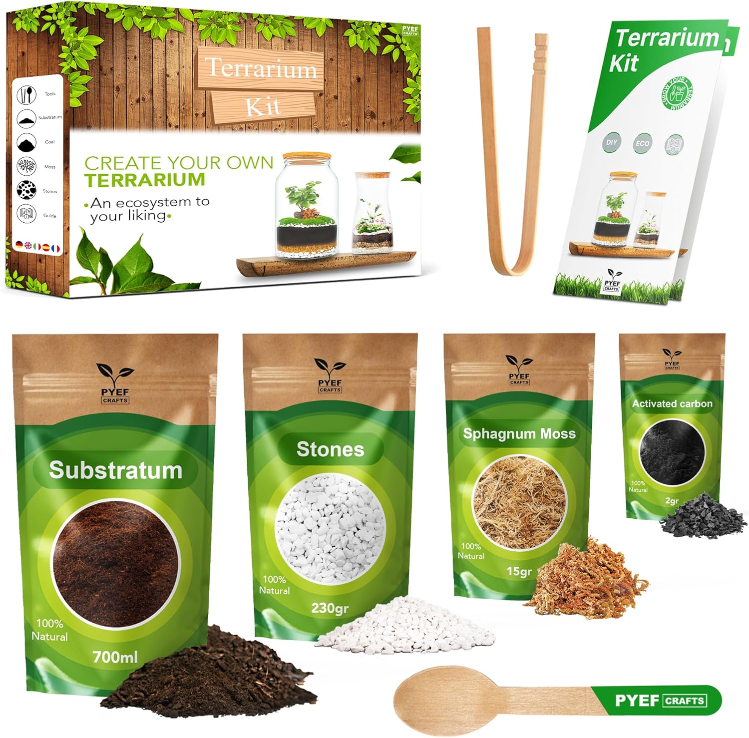 PYEF CRAFTS DIY Terrarium Kit Review: Easy Succulent & Air Plant Terrariums for Beginners