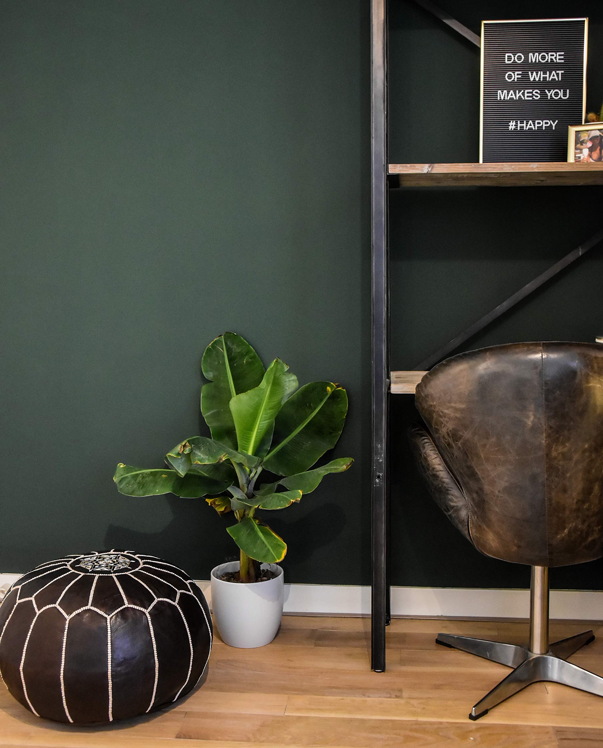 Poufs&Pillows Premium Echt Leder Pouf - Handgefertigt - gefüllt geliefert - Ottoman Sitzsack Fußhocker (Schwarz)