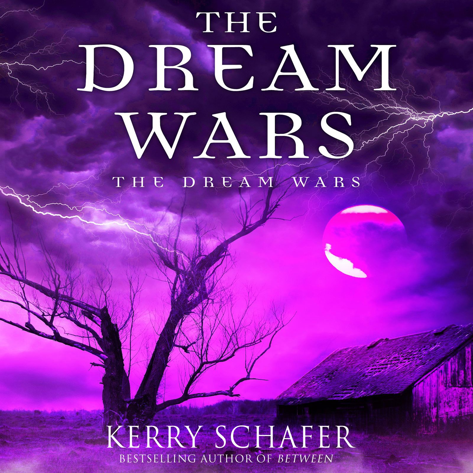 Cover art for The Dream Wars