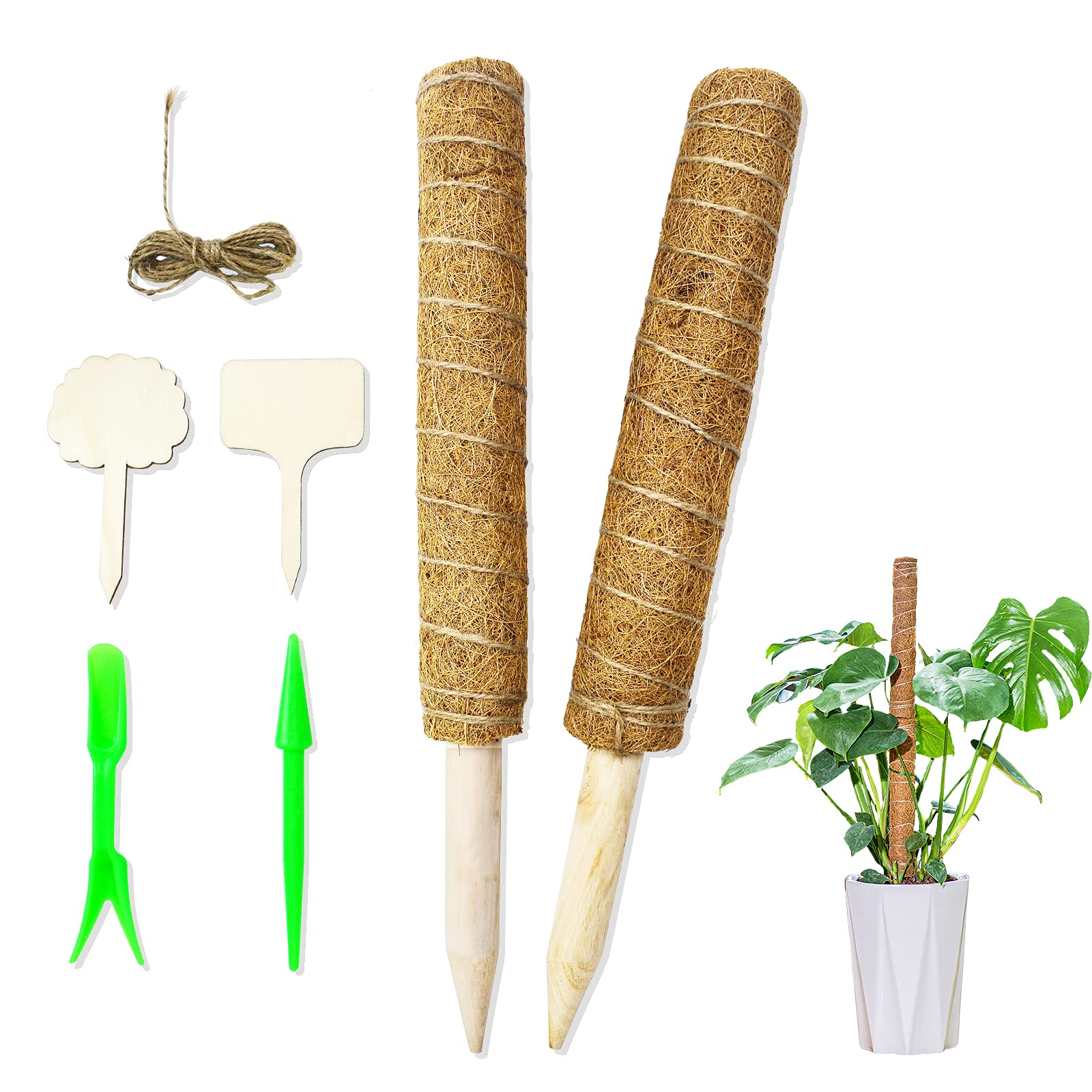 Buy LISM 26.4 Inch Moss Pole Monstera with Gardening Tool Coir Totem