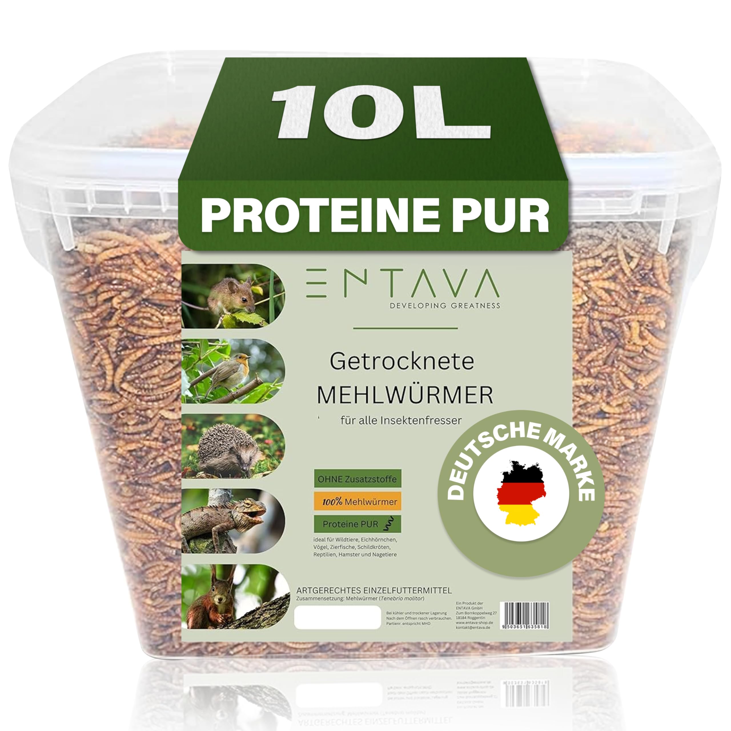 Mehlwürmer getrocknet 10L - Insekten Snack in Premium Qualität, getrocknete Mehlwürmer für Vögel, Fische, Koi, Schildkröten, Nager, Reptilien, Wildvögel, Vogelfutter, Igelfutter