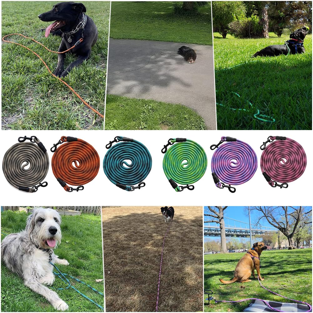 BTINESFUL Correa de cuerda larga para perro de 12 pies, 20 pies, 30 pies, 50 pies, ideal para perros grandes, medianos y pequeños, entrenamiento, jugar, acampar o patio trasero (12 pies, beige negro)