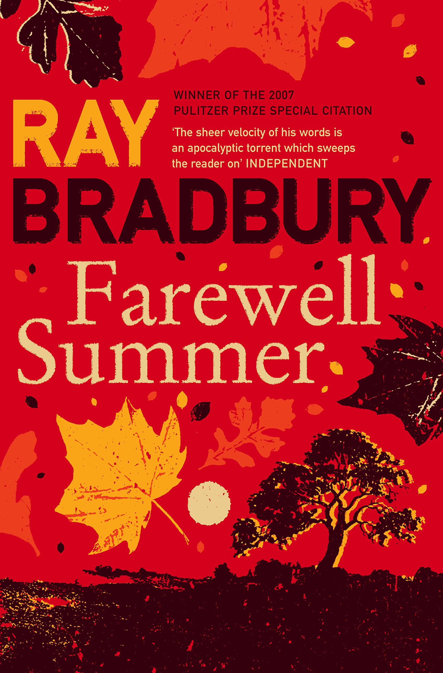 Farewell Summer: A Captivating Literary Novel About a Bold Attempt to Stop Time