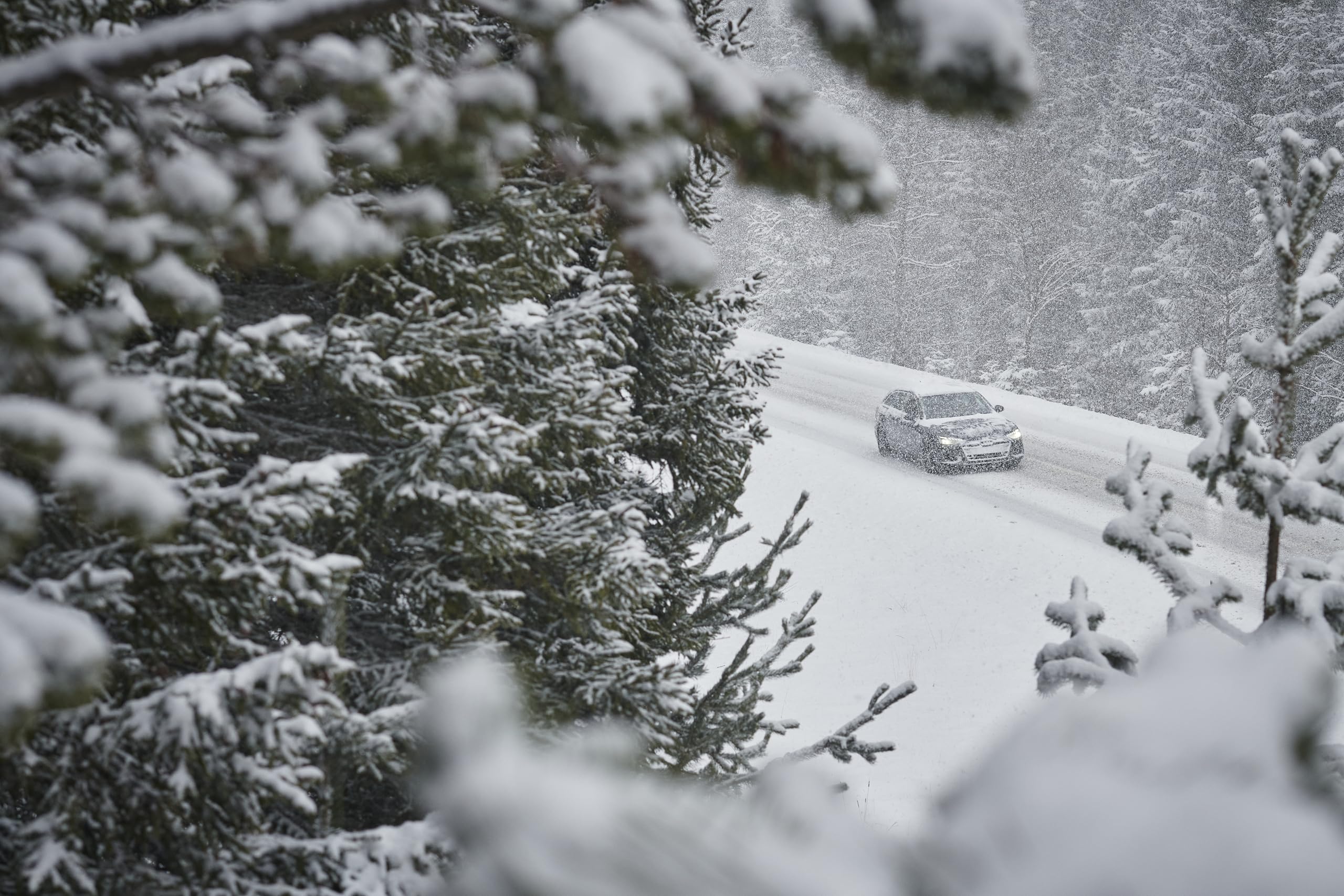 NOKIAN 195/65 R15 95T Neumáticos de Invierno XL Auto