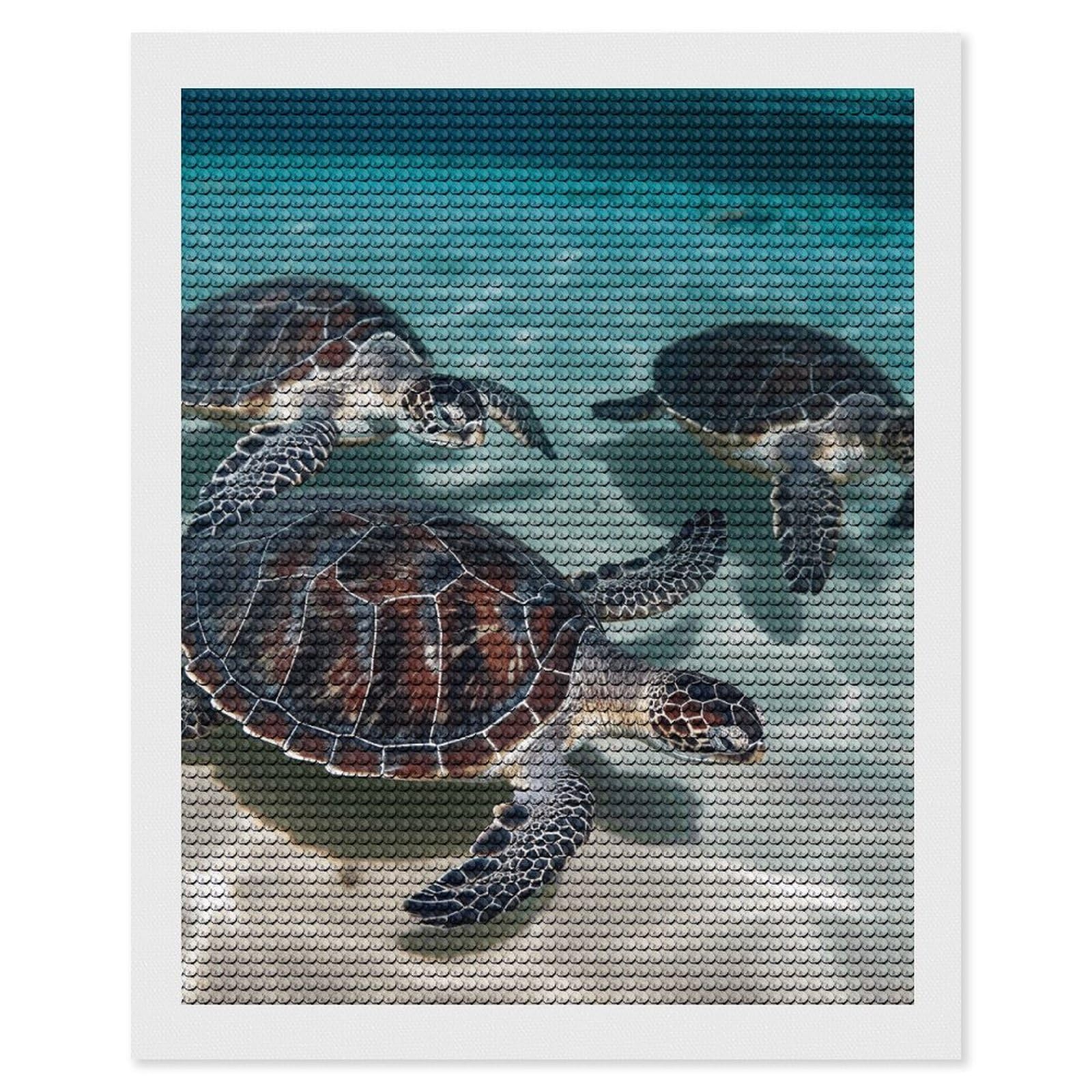 NONHAI Diamond Painting Kits for Adults - DIY Diamond Art Kits for Beginners - Full 5D Paint Drill Diamond Dots Paintings- Sea Turtles Diamonds Pictures Gem Art and Craft Wall Decor 16"x20"