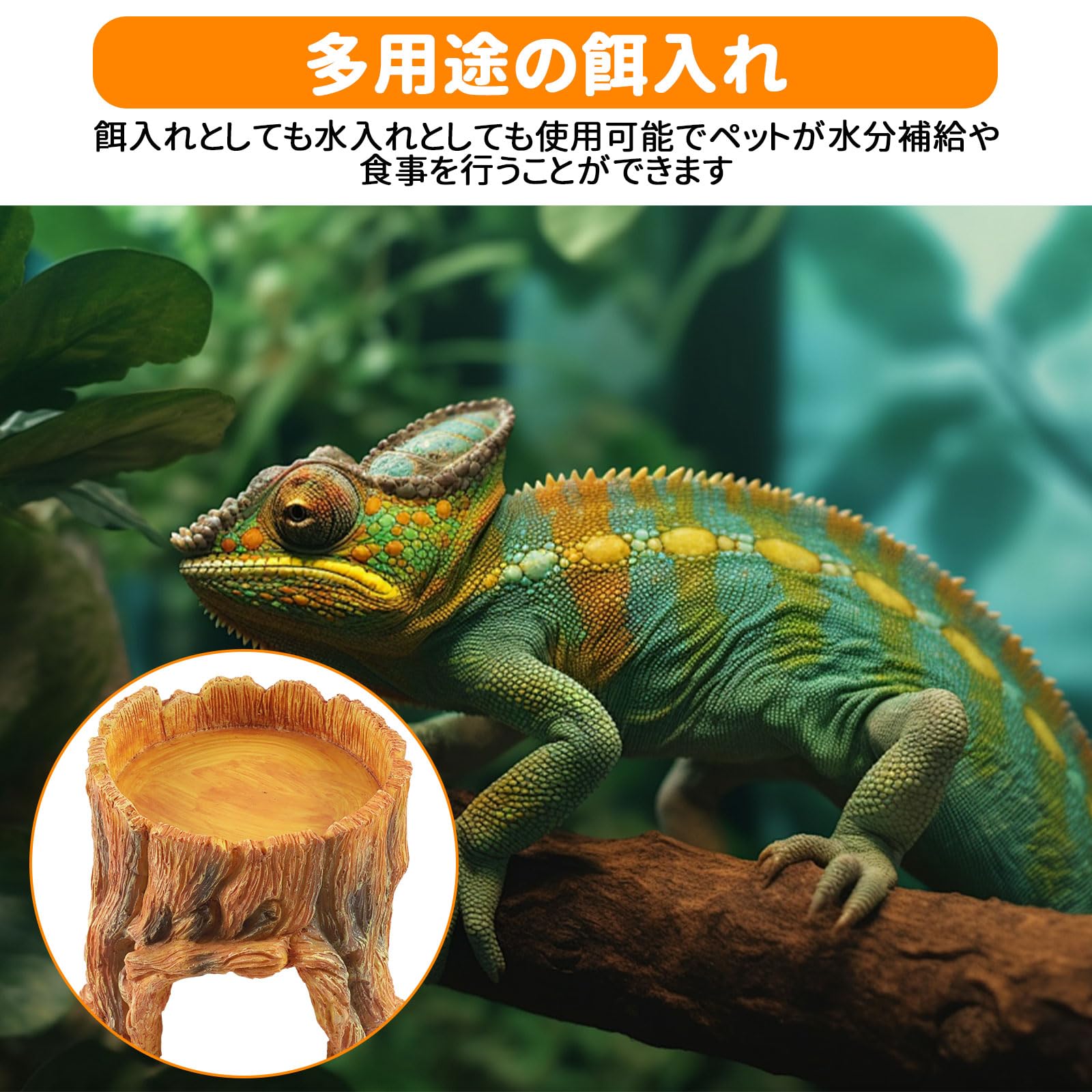 爬虫類・両生類のエサ ML100 3L36 爬虫類・両生類のエサ ML100 3L36 新発売】 WEB限定お買い得商品