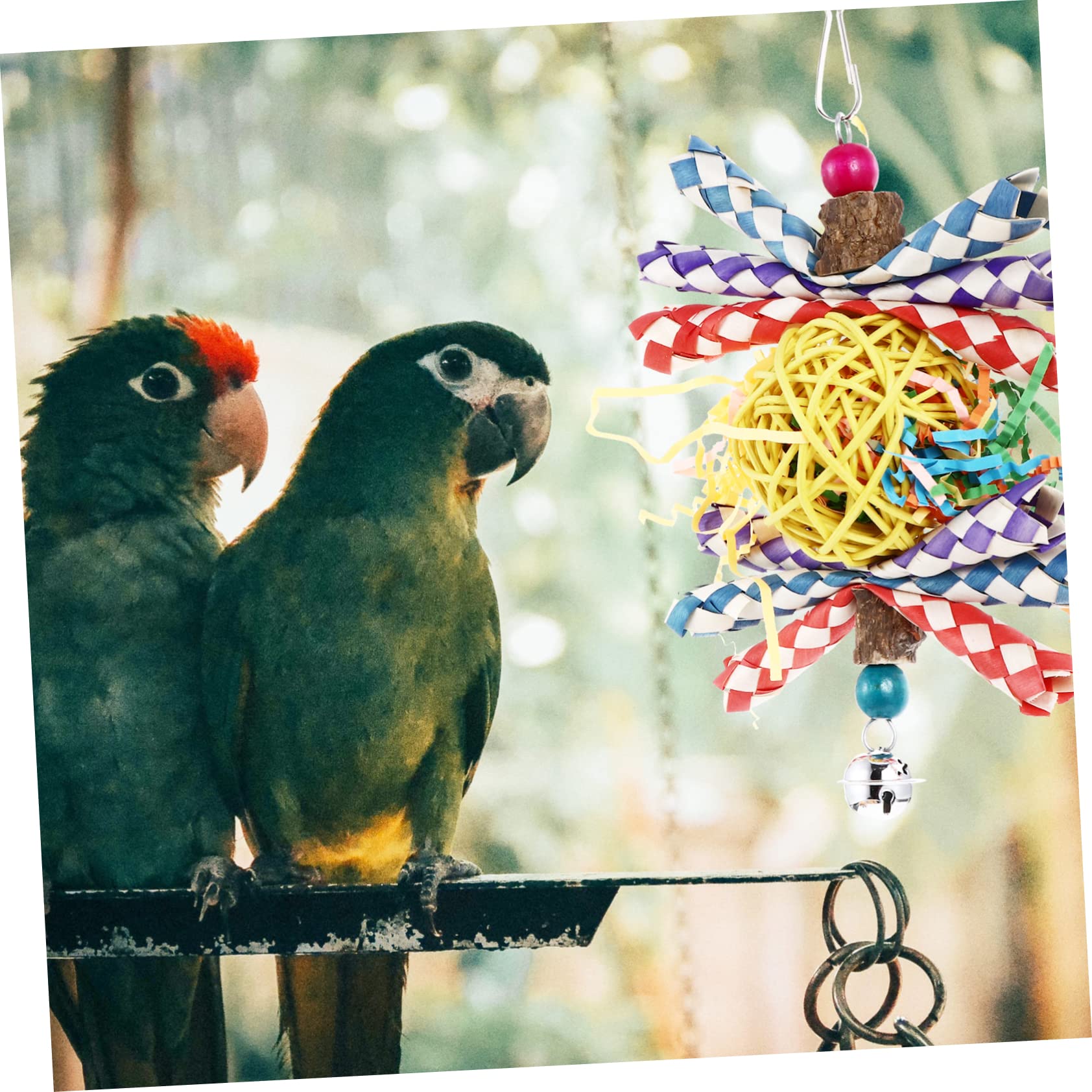 BESPORTBLE 3pièces Jouet à Mâcher pour Perroquets Et Oiseaux Jouet Tressée Créatif pour Jeux Mastication Accessoire Amusant pour Oiseaux De Compagnie