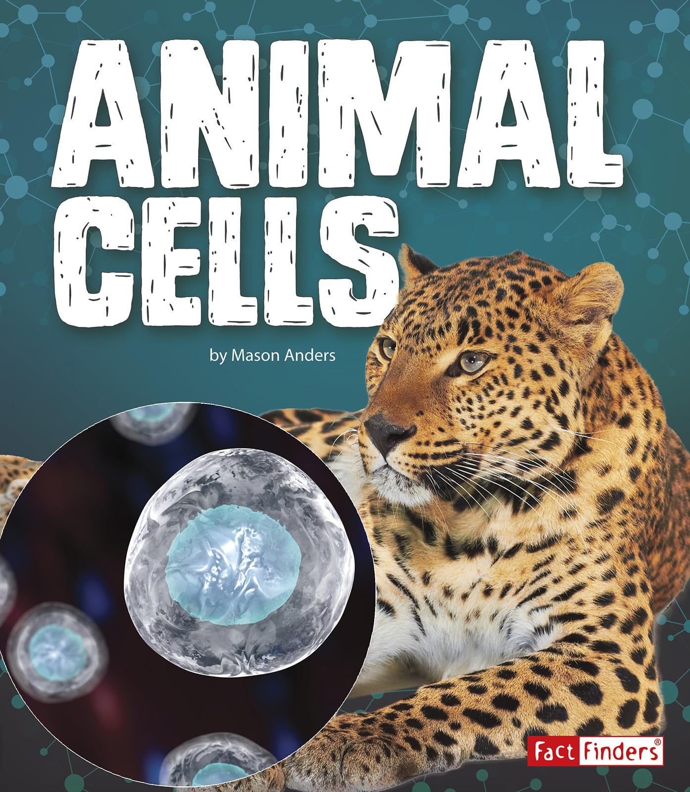 Buy Animal Cells (Fact Finders: Genetics) — BookShops.in