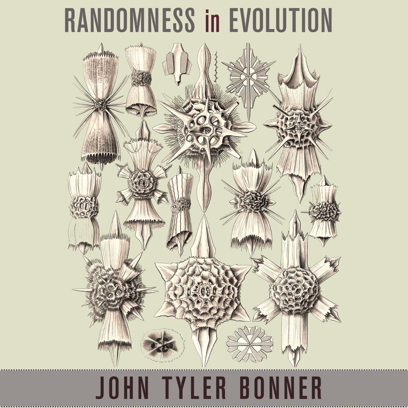 Cover art for Randomness in Evolution