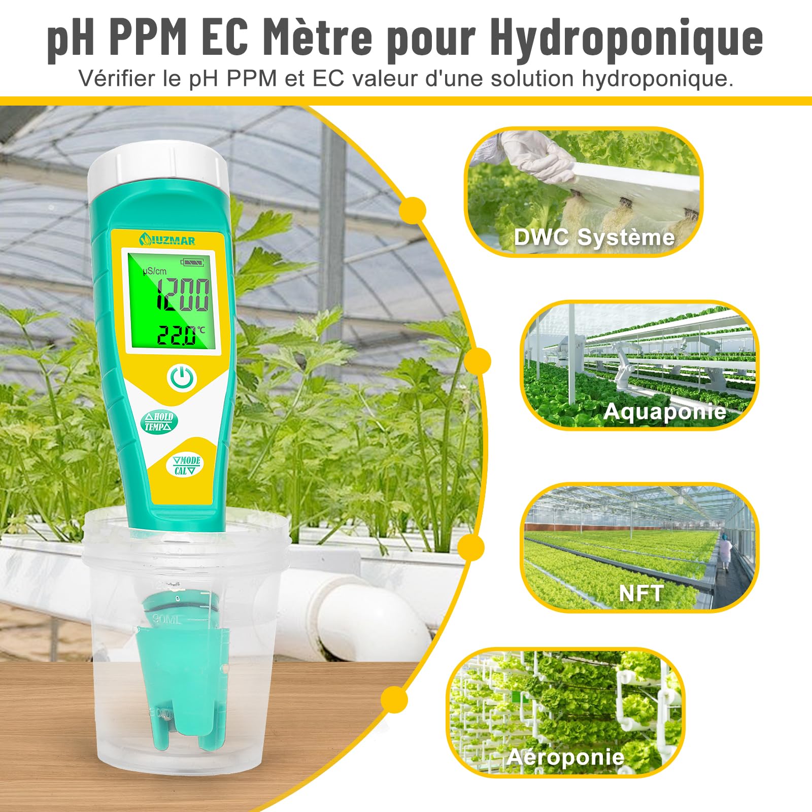 UIUZMAR Testeur de Sel pH Mètre pH ORP Mètre Précis et Constant | 6 en 1 pH, Salinité, ORP, TDS, EC, Temp Testeur de PPM et EC pour L'hydroponie, les Aquariums, les Piscines