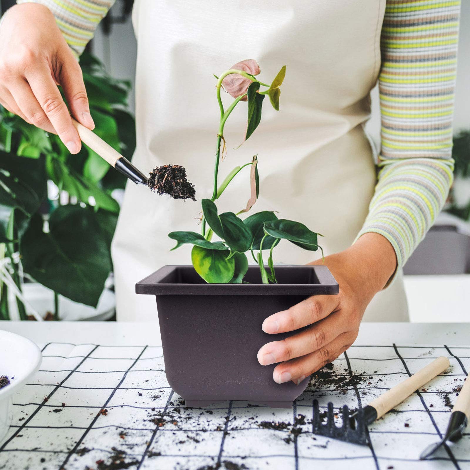 KINJOEK Bonsai-Tpfe aus Kunststoff mit Tabletts, hoch, tief, quadratisch,  Bonsai-Trainingstpfe mit Ablaufloch, Baumblumen, Sukkulenten, Pflanztopf  fr Garten, Innenbereich, Heimdekoration, 15 Stck: Amazon.de: Garten