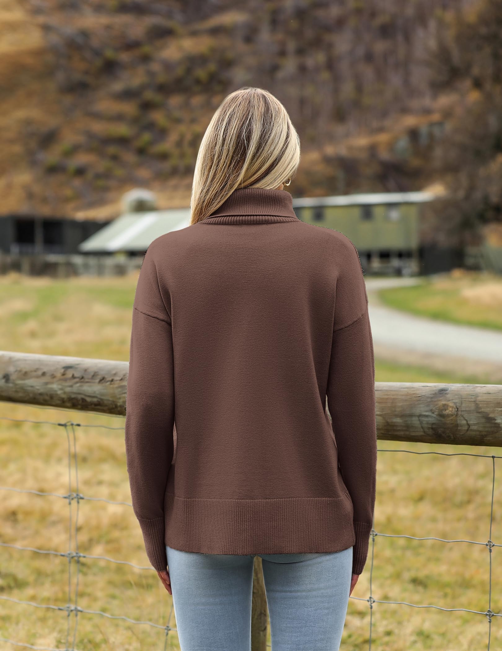 Zeagoo Dames Coltrui Jumpers Elegante Lange Mouwen Truien Warme Gebreide Jumper Rolhals Pullover Tops Casual Losse Sweatshirts Herfst Winter S-XXL, Zwart, L
