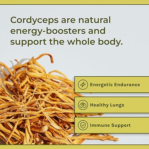 Miniatura 3 de Naturealm - Cápsulas Cordyceps - Extracto de hongos para más energía y estado de ánimo mejorado, 90 cápsulas vegetarianas, suministro para 30 días