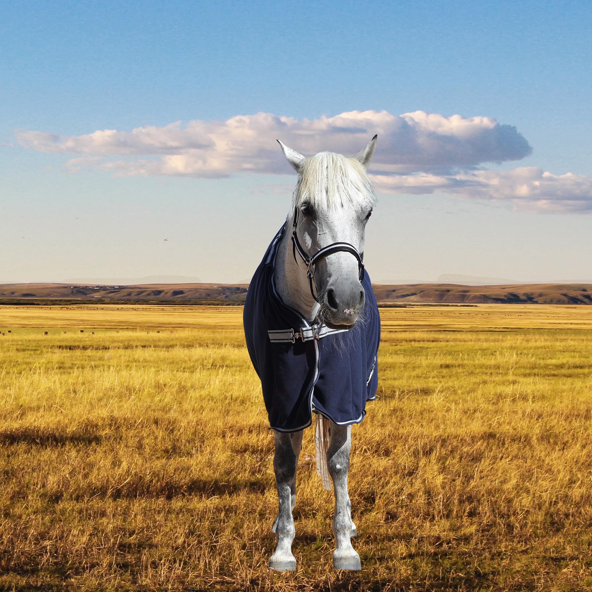 Manta de Secado para Caballo en Forro Polar 300 g/m² – Transpirable, Absorbente y de Secado rápido, Ideal después del Entrenamiento, el baño, en el establo y Durante el Transporte