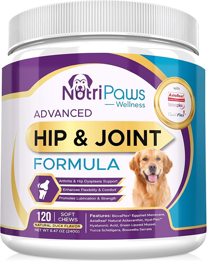 Advanced Joint Supplements for Dogs Mobility & Joint