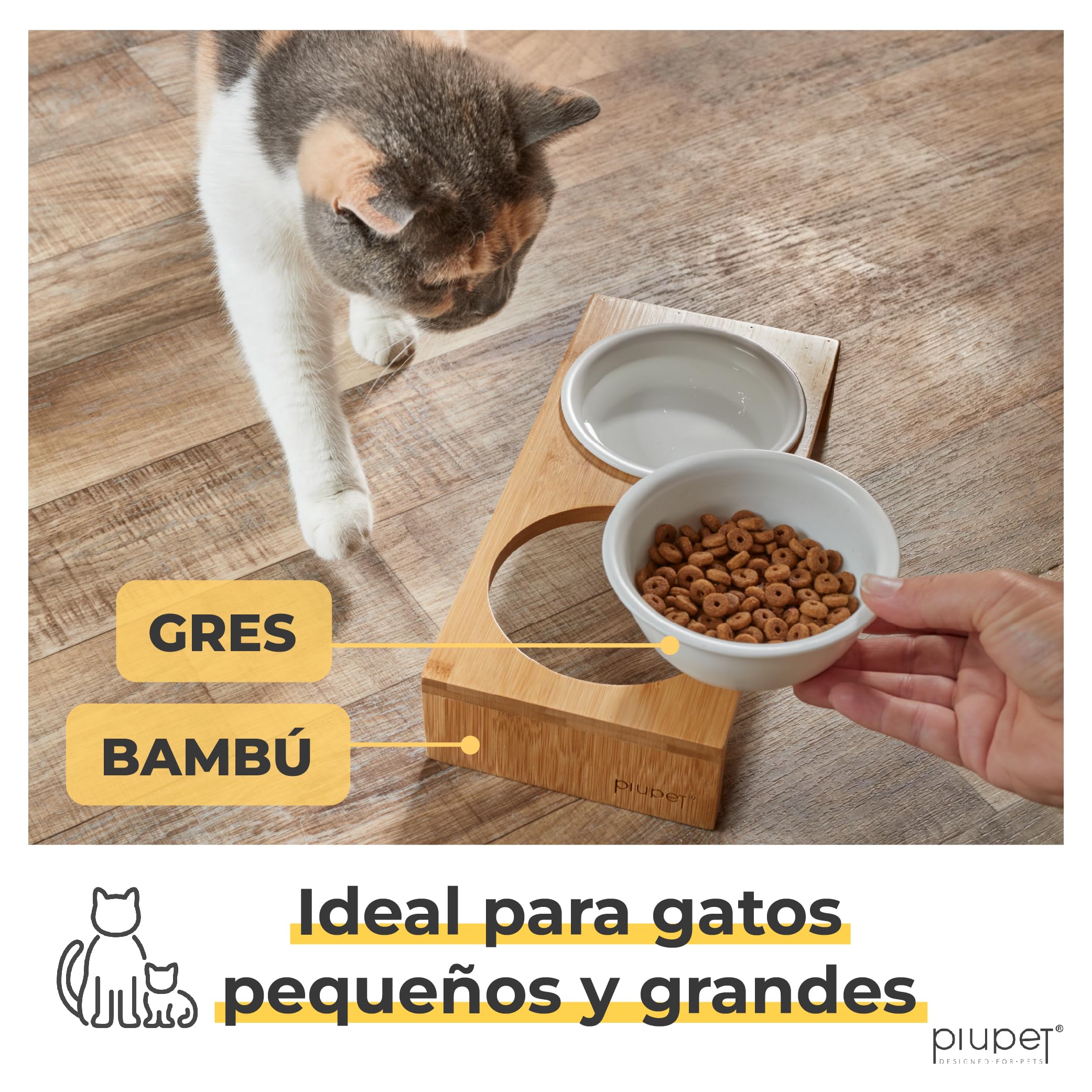 PiuPet® Comedero Gatos y Perros pequeños I 250ml I Apto para lavavajillas I Elevado I Cuenco /Bebedero I 2 Cuencos