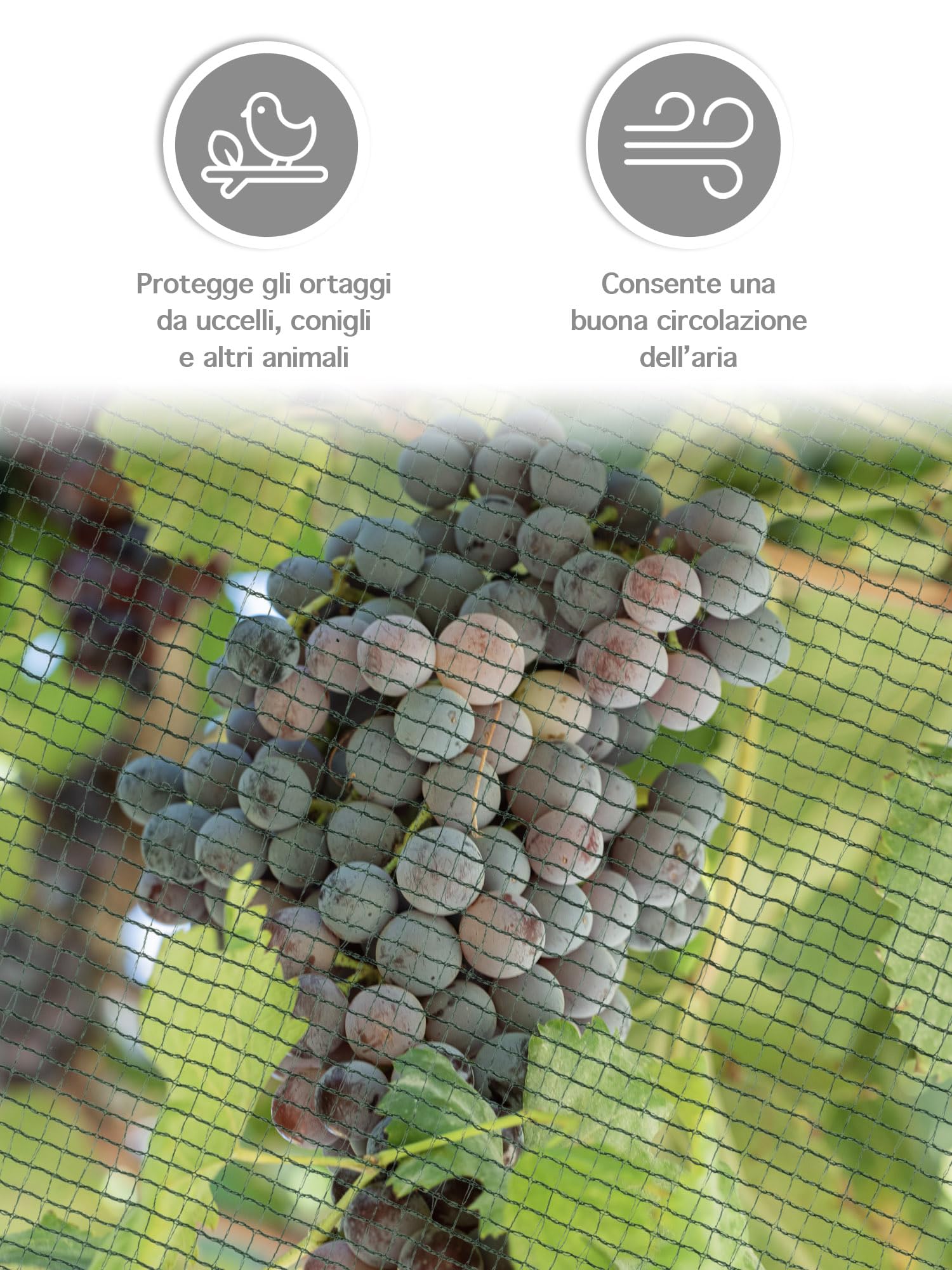 Rete Antigrandine Doppia Trama 10 Metri - Verde In Polietilene | Per Orti, Auto, Coltivazioni - Foto 12