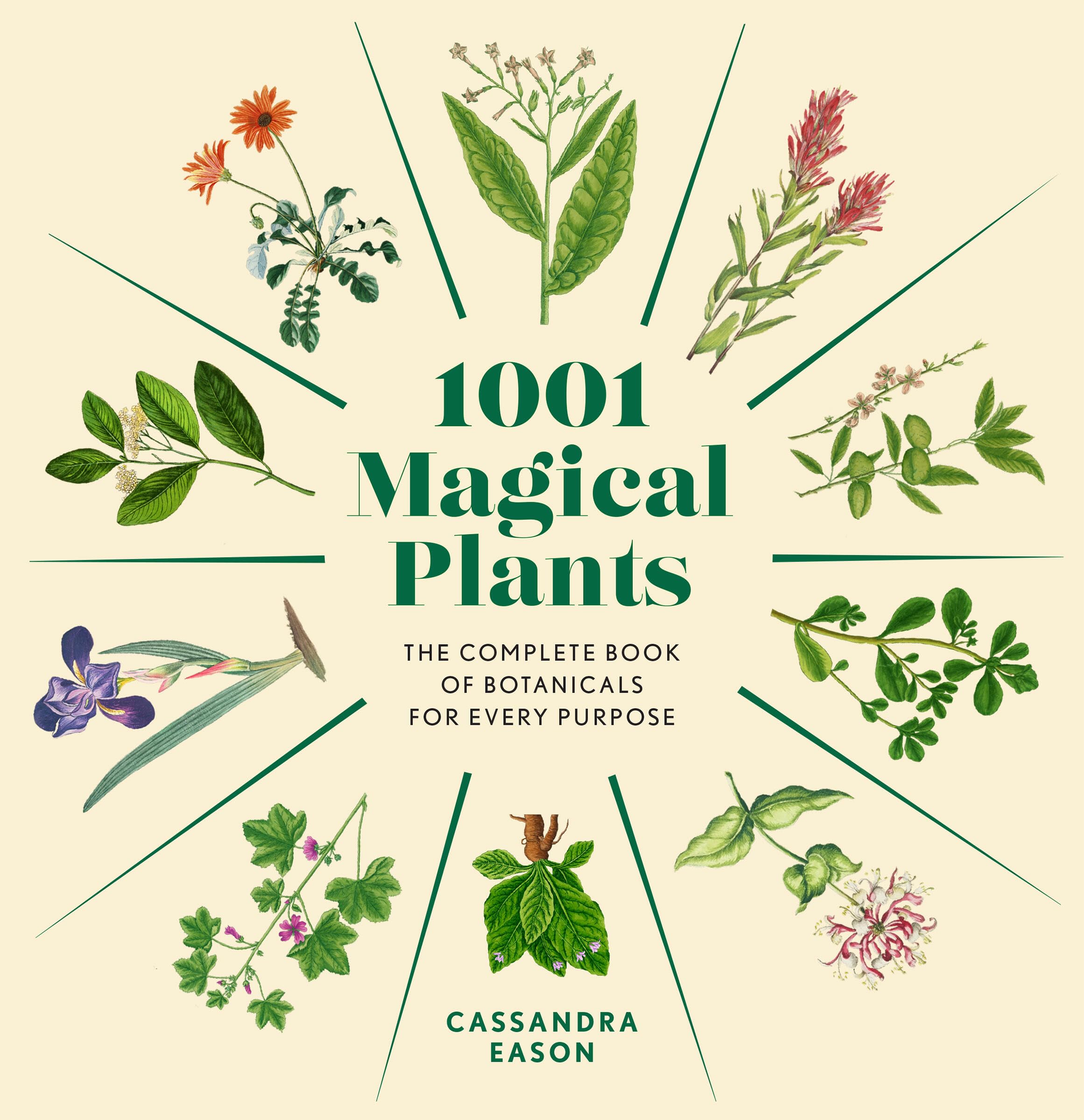 1001 Magical Plants by Cassandra Eason Hardback
