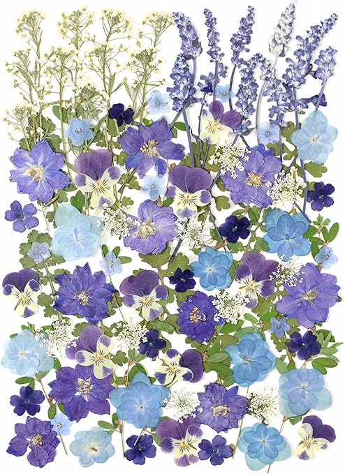 100 PCS Real Dried Pressed Flowers Leaves Natural Plant Herbarium for DIY Resin Mold Jewelry Making Craft (Blue)