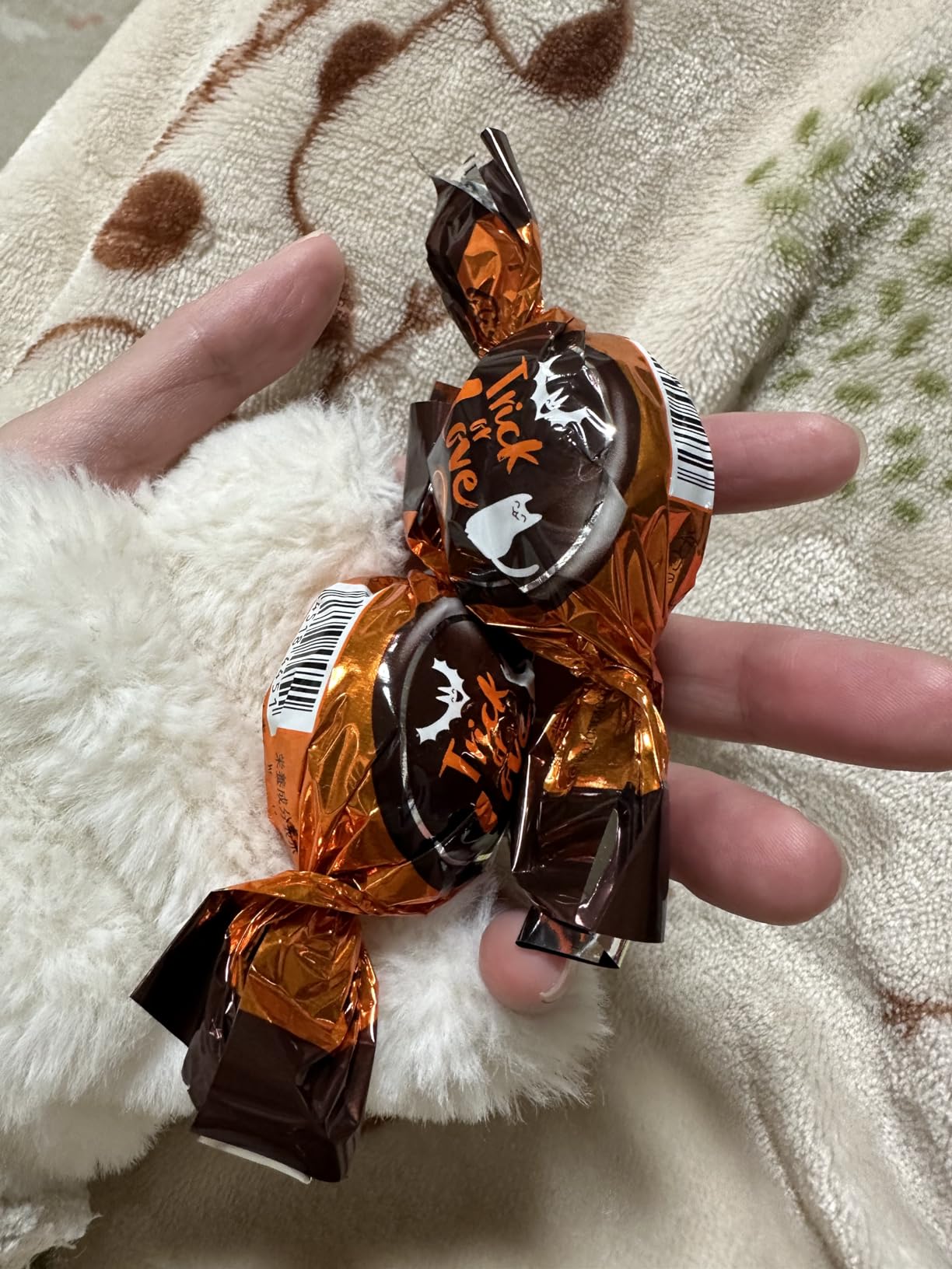 お客様イメージ