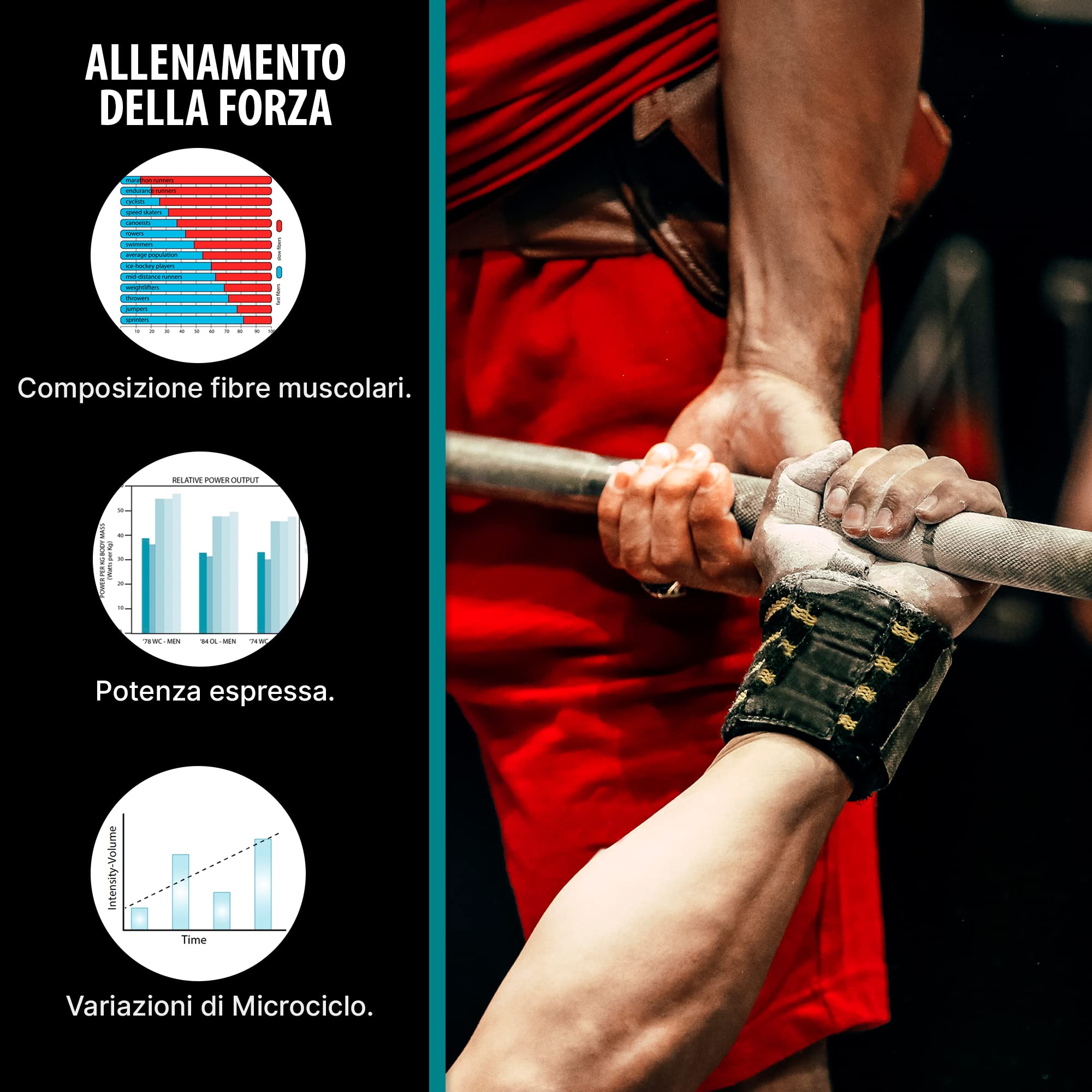 Allenamento della forza. Per la preparazione fisica