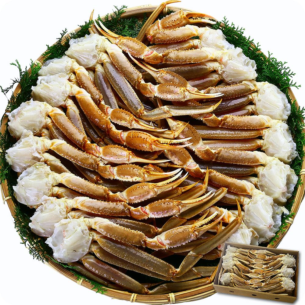 甲羅組 ズワイガニ カニ かに 蟹 超特大 生ずわいがに 足