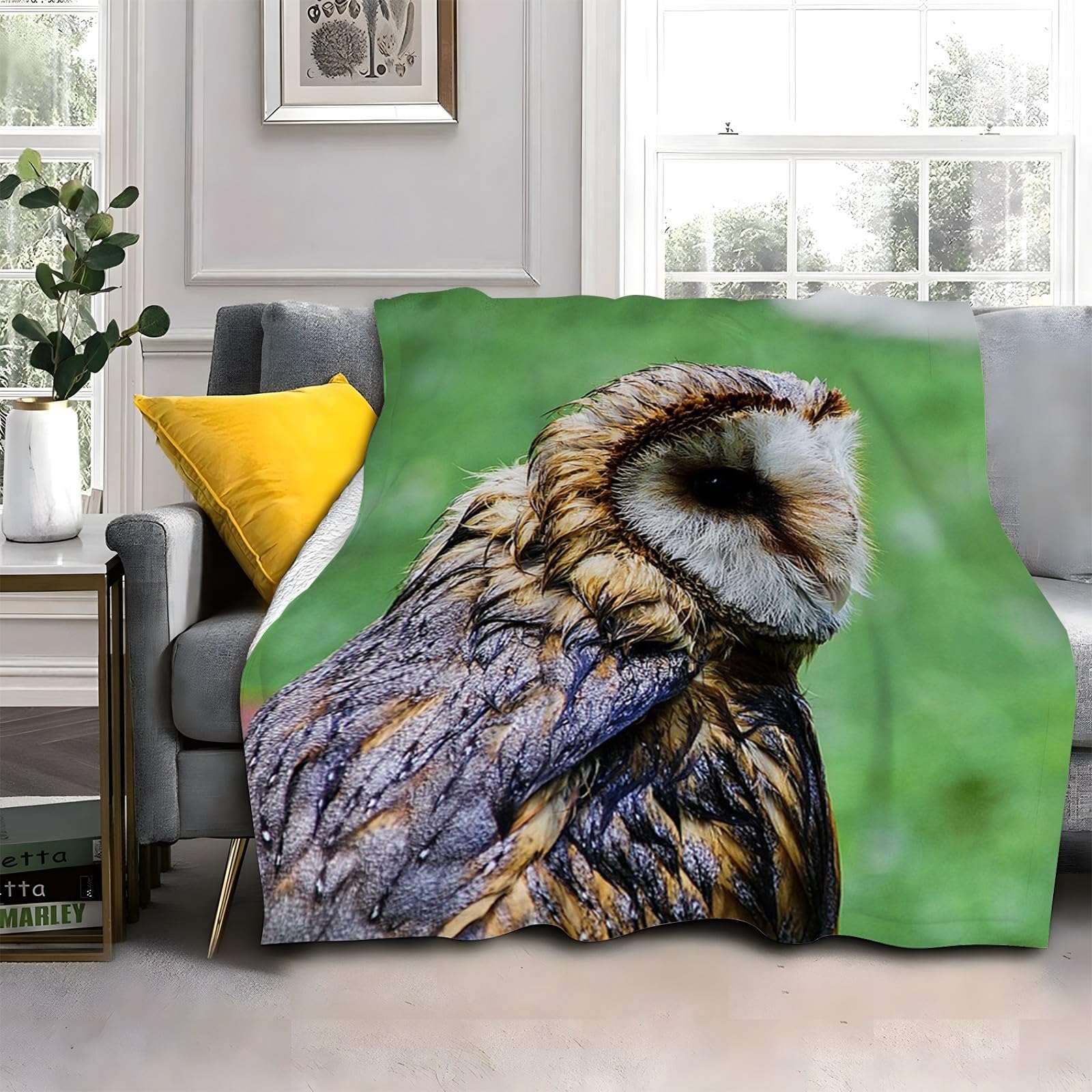 LLSZAHD Owl Blanket, Animals Throw Blanket, Thick Warm Fuzzy Washable Flannel Blanket for Sofa, Chair, Car, Lap, Pets, excellent gift (30"x40")