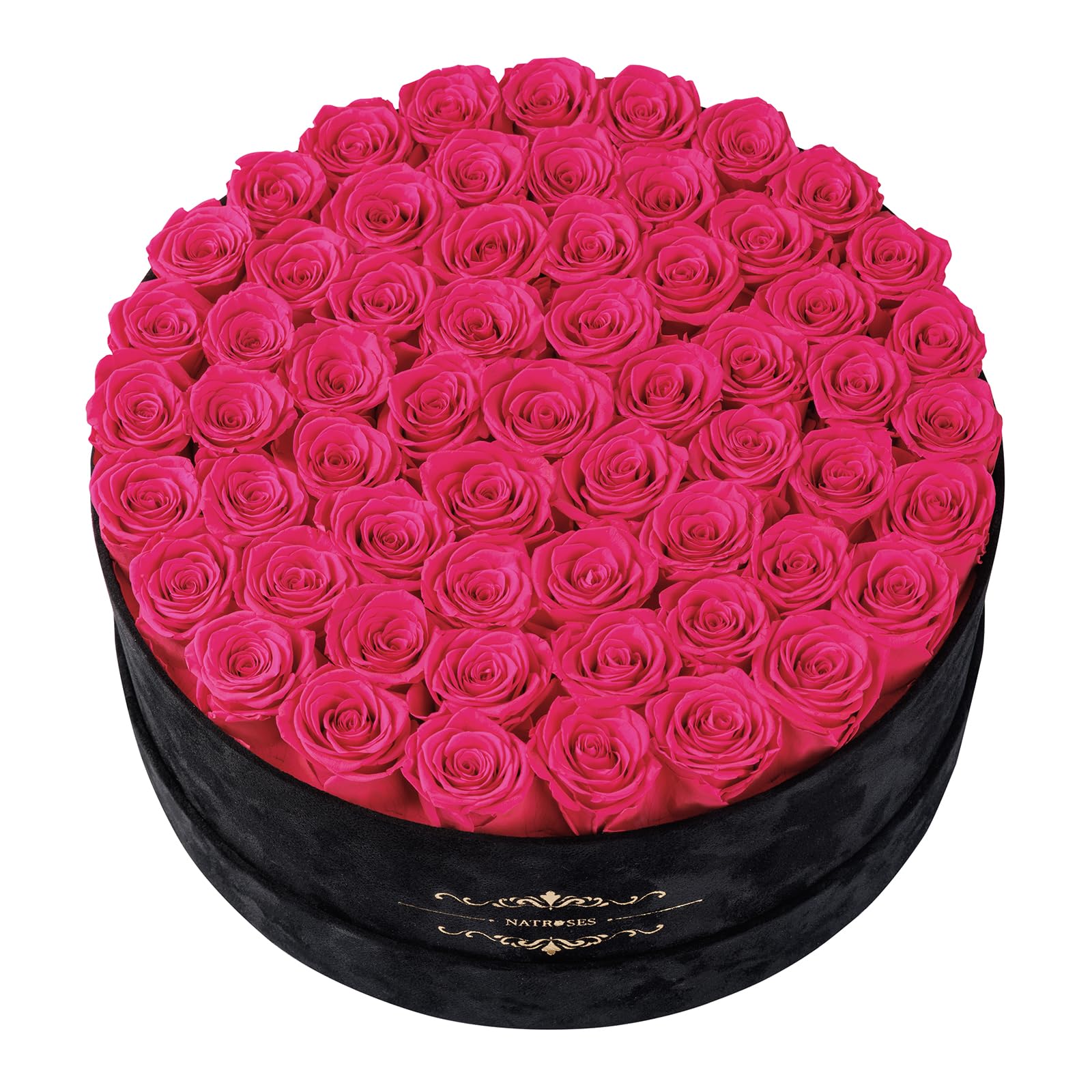 NATROSES 60 Preserved Roses Hot Pink