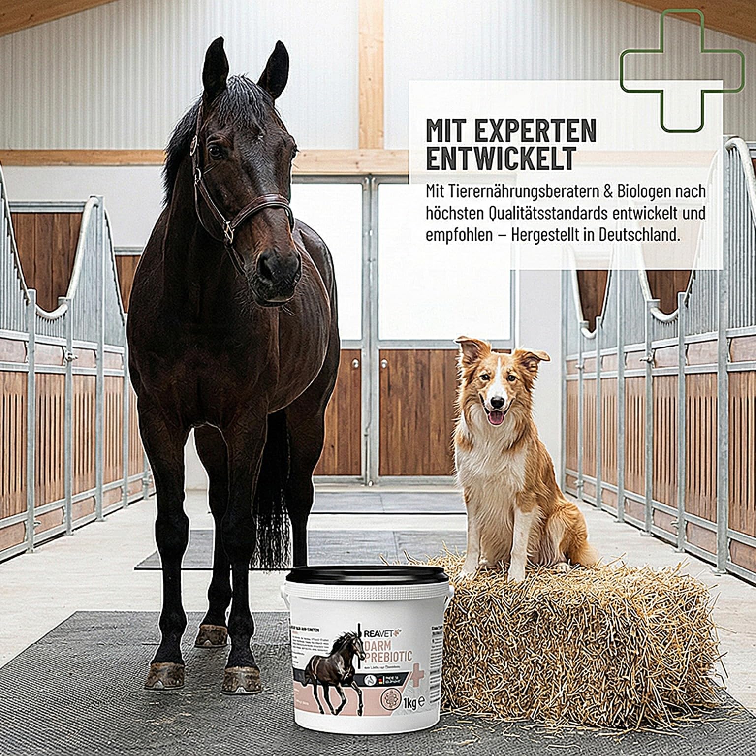 ReaVET Darm Prebiotic 1kg für Pferde zur Unterstützung der Darmflora & Verdauung - Magen Darm Pferd, Natürliche Darmkur, Getreidefreies Naturprodukt ohne Zusätze
