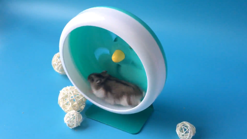 Hamster Silent Wheel, Super-Silent Small Animal Exercise Wheel Accessories, Quiet Hamster Running Wheels with Adjustable Stand for Hamsters,Gerbils,Mice, Small Pet 7in (Blue A) - image 7