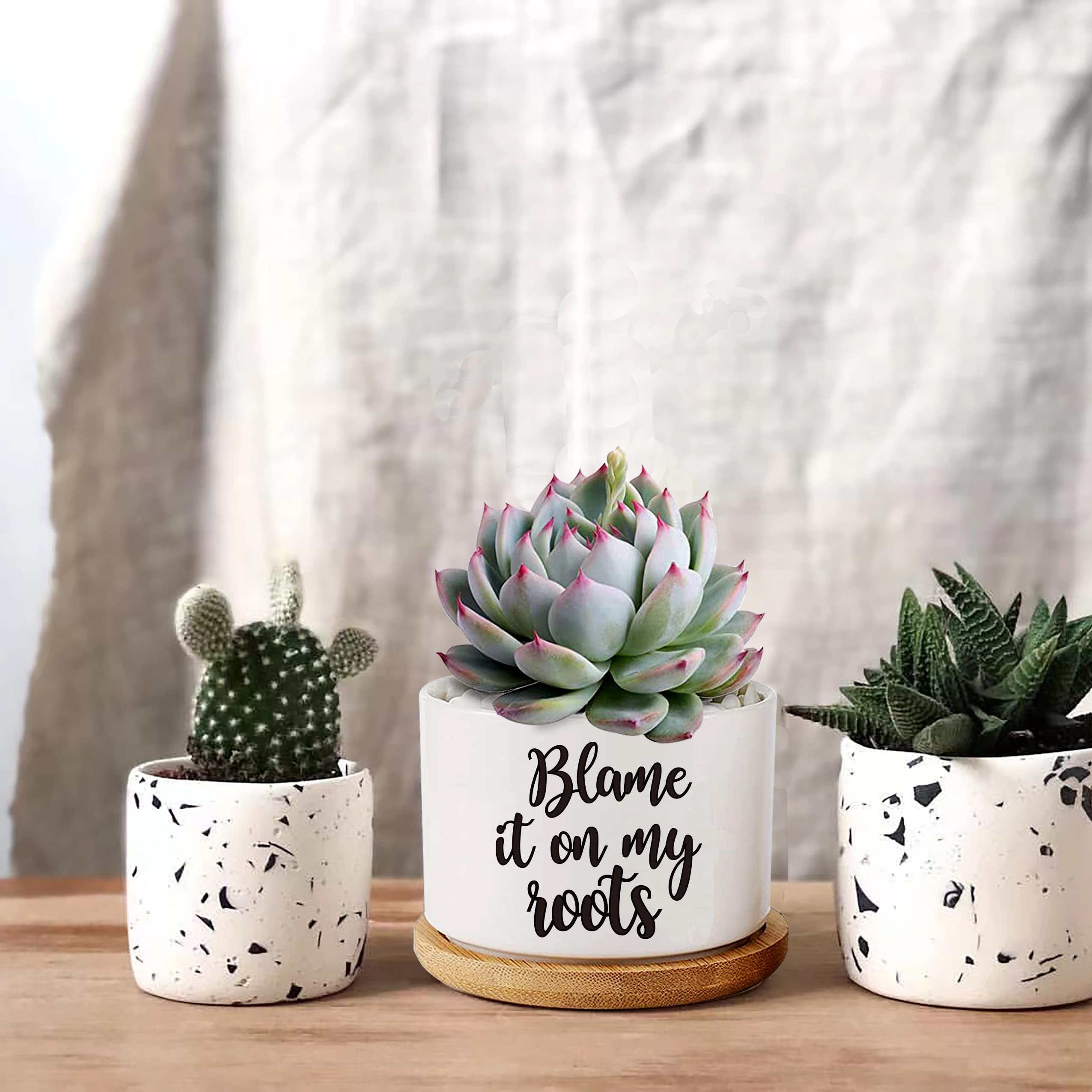 Pot Pour Plante Grasse 9 Cm – "Blame It On My Roots" – Terre Cuite Grise
