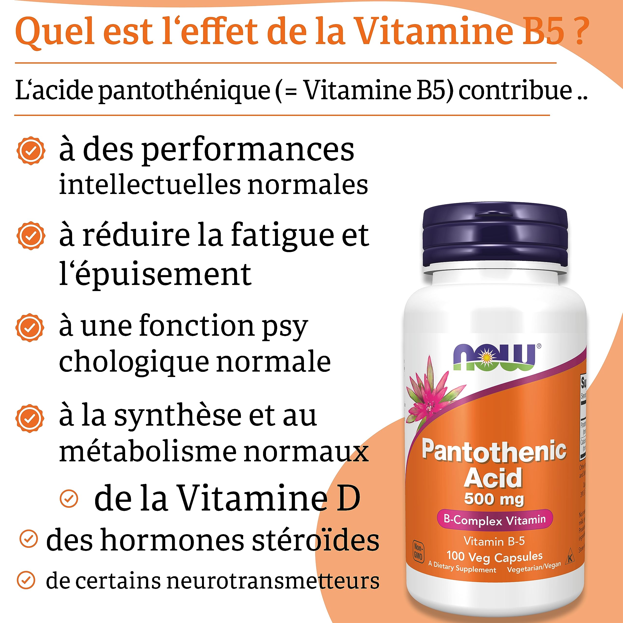 Now Foods, Pantothenic Acid (Acide Pantothénique), 500 mg, 100 Gélules végétaliennes, Testé en Laboratoire, Vitamine B5, Fortement Dosé, Sans Gluten, Sans Soja, Végétarien