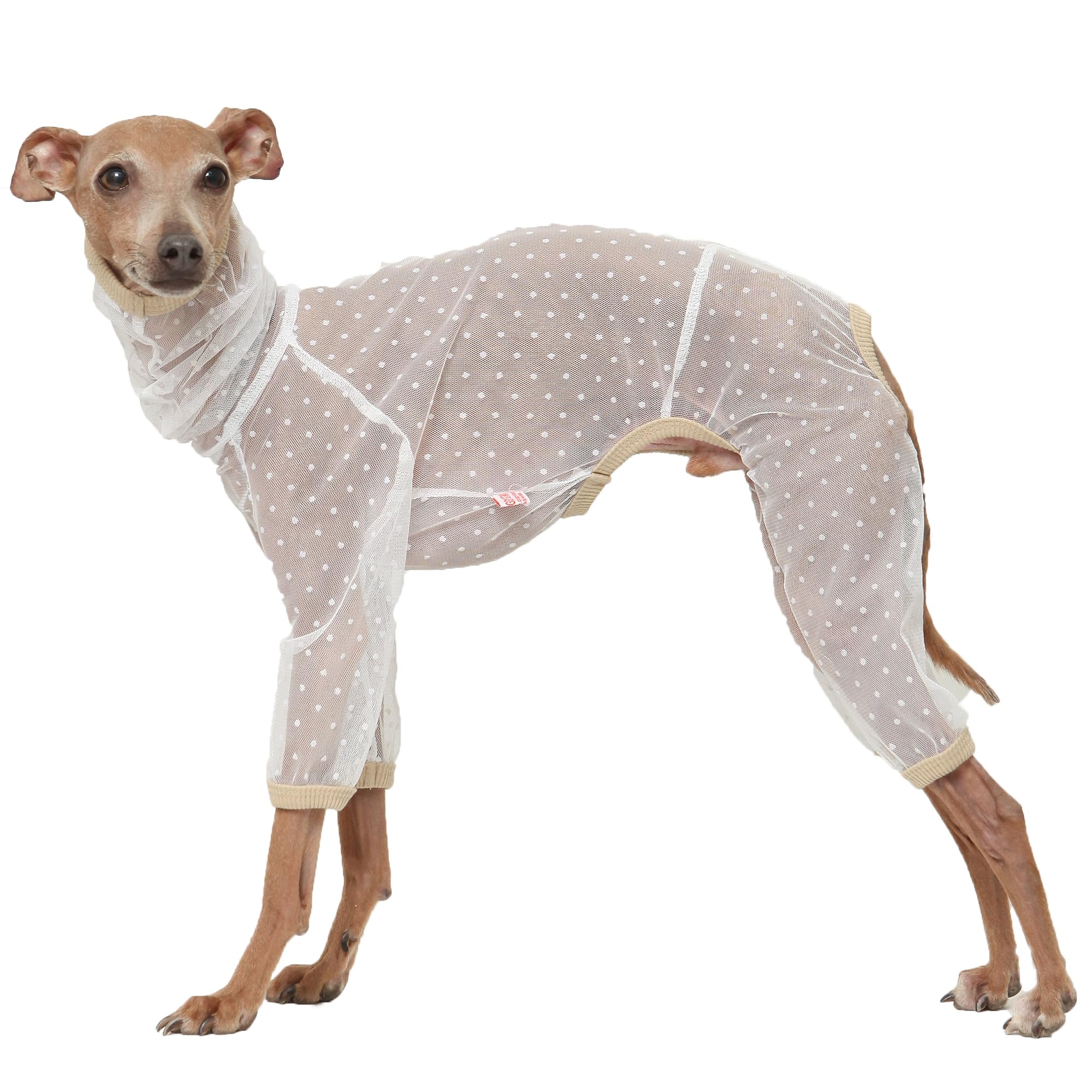 D Doggy Star Italian Greyhound Clothes Sheer Mesh Onesie Summer Jumpsuit Breathable Full Body Protection for Outdoor Walks Small Whippet Fit (S,Sheer Mesh White)