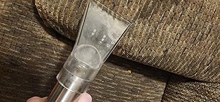 Review Image by Nicholle Nicholle