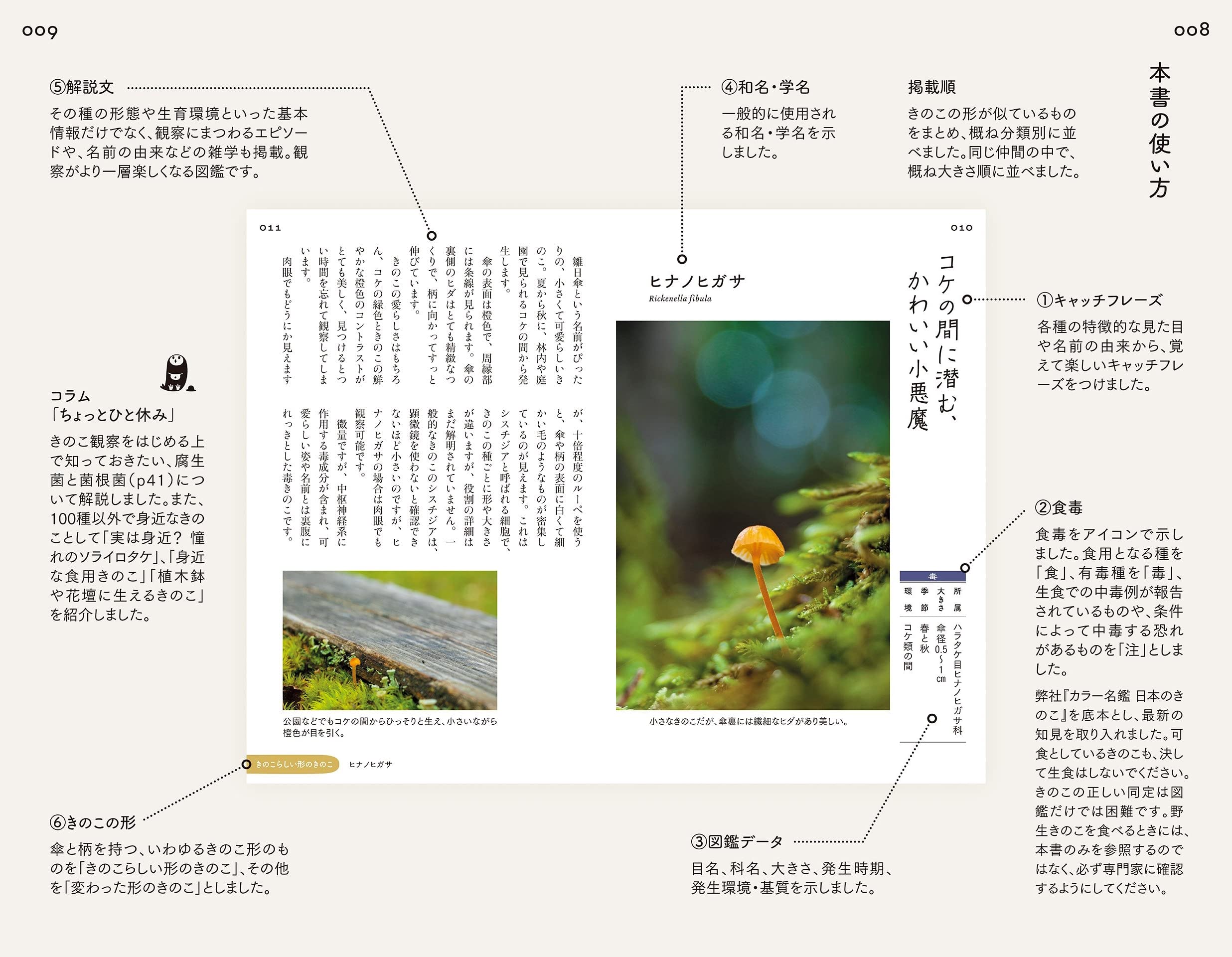 散歩道の図鑑 あした出会えるきのこ100 新井文彦 保坂健太郎