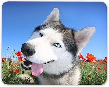 Amazon ハッピーハスキーマウスマットパッド ンマラミュート狼犬子犬かわいいコンピュータギフト 158 Destination Vinyl Mats 家電 カメラ Amazon ハッピーハスキーマウスマットパッド ンマラミュート狼犬子犬かわいいコンピュータギフト 158 Destination Vinyl Mats 家電 カメラ