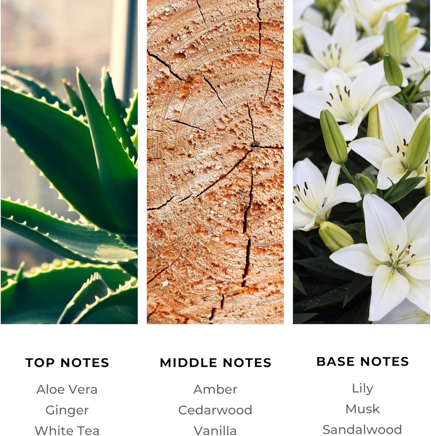 Brilliant Scents Diffuser Oil Refill, Inspired by The Westin Hote, Hotel Series Aroma Scents, Essential Oils Set for Home, Fragrance Oil for Candle Making, Home, 50 ML, La Mar - Image 3