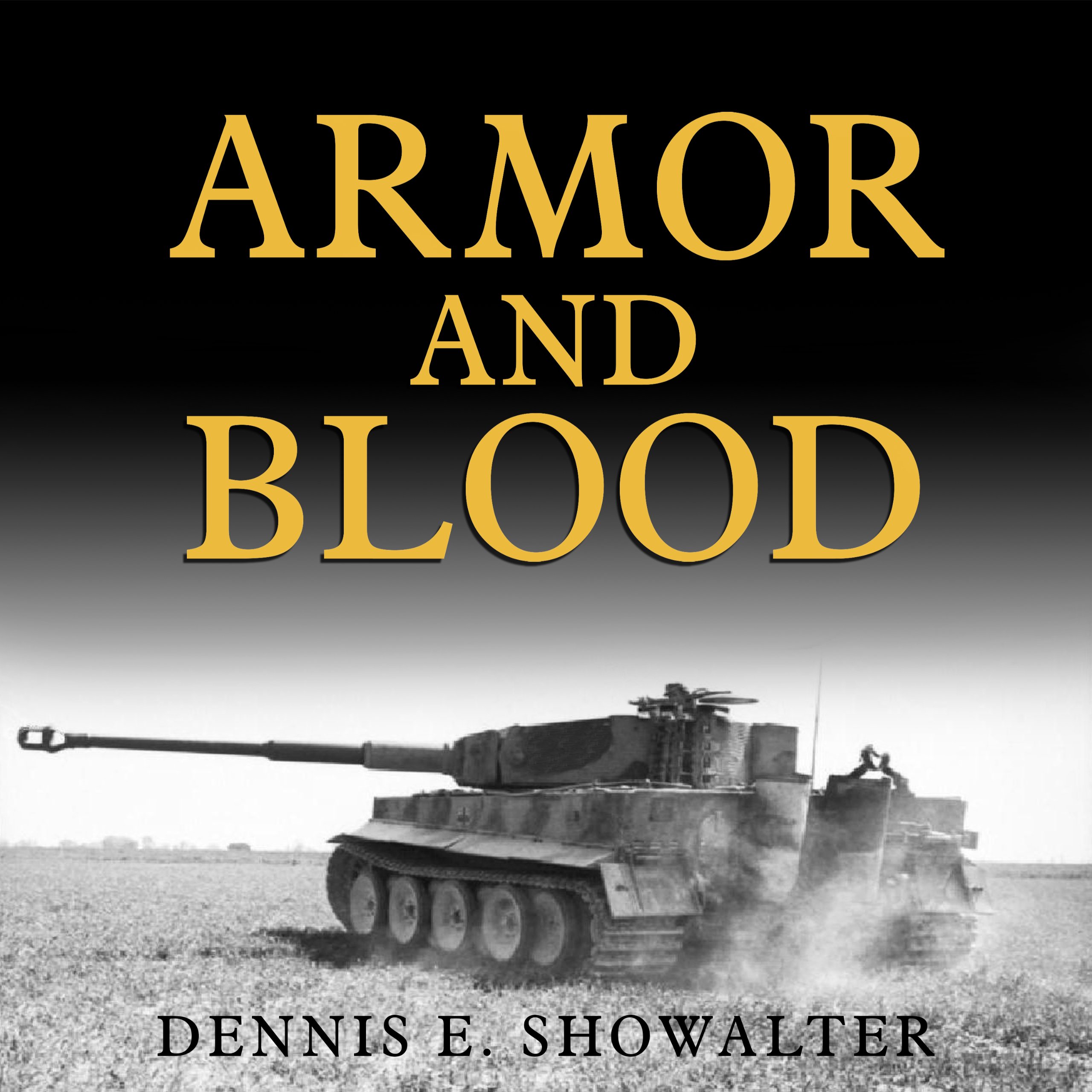 Cover art for Armor and Blood