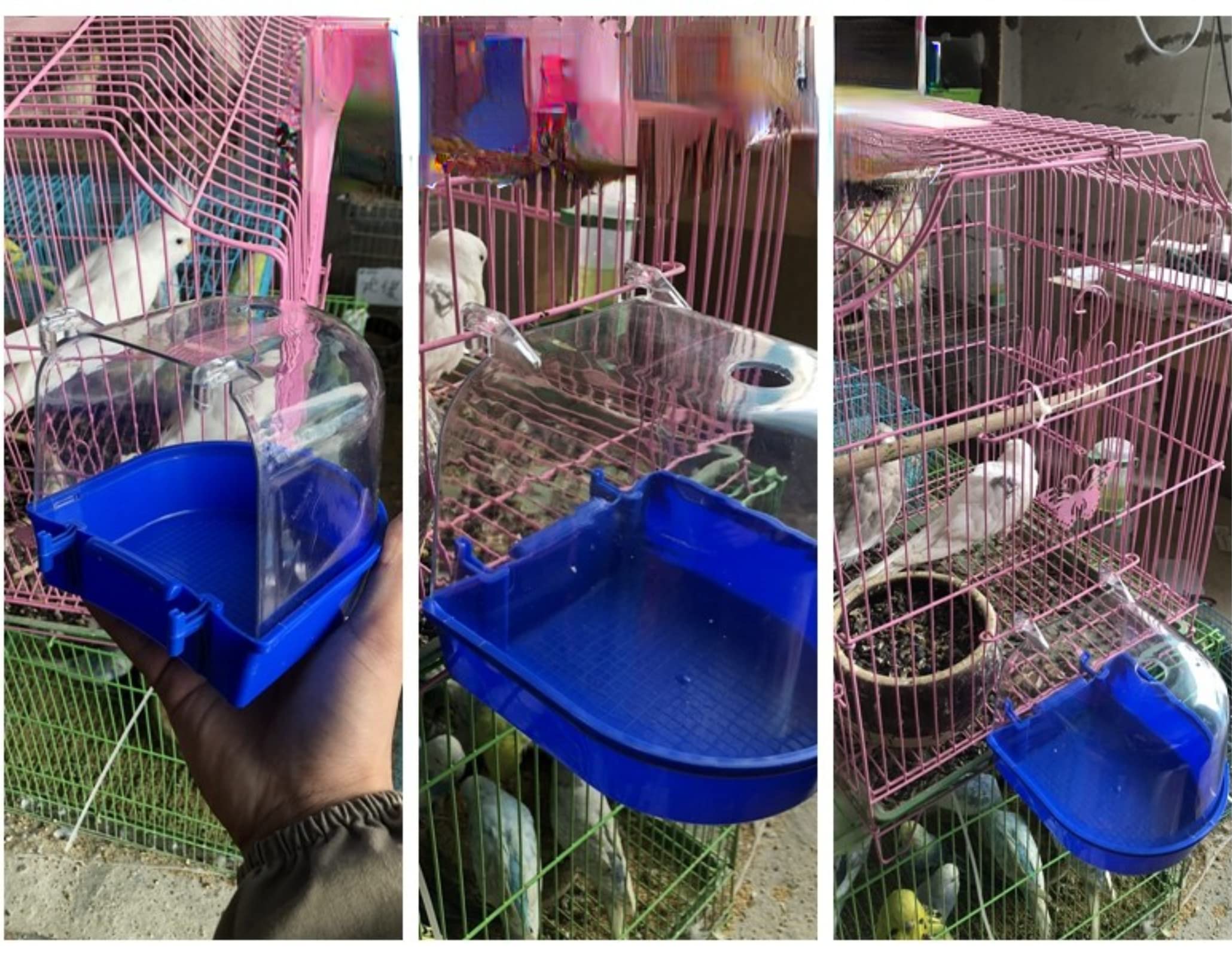 Bird Bath Cage, Cleaning Pet Supplies Bird Bathtub with Hanging Hooks Come with Free Water Injector for Parrots Spacious Parakeets Portable Shower for Most Birdcage Random Color (S for Square cage) 2