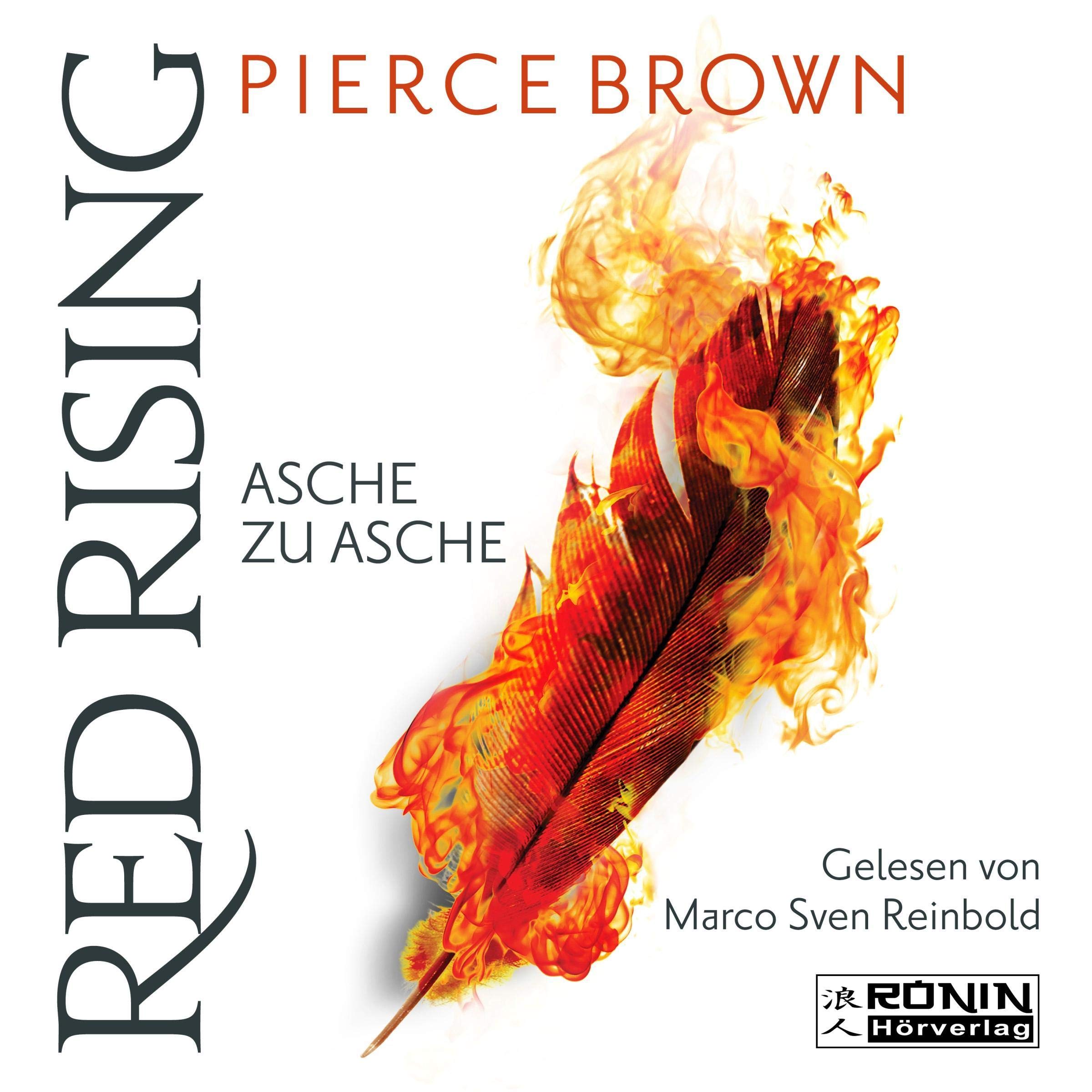 Cover art for Asche zu Asche