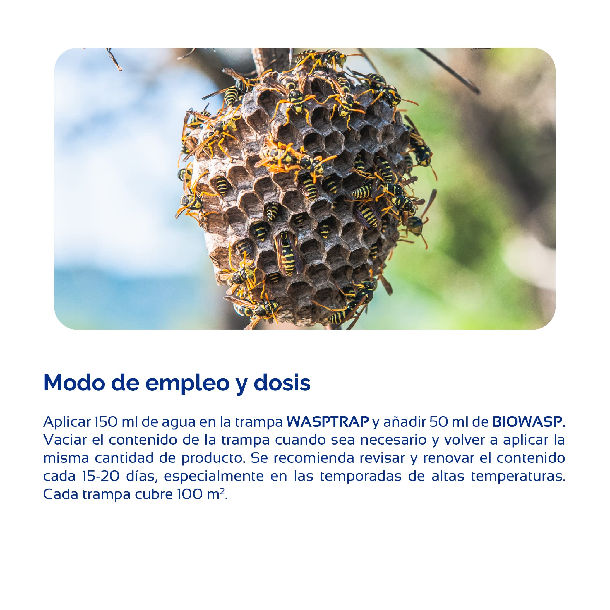 Bioplagen Wasptrap Trampa Avispas + Biowasp Atrayente concentrado listo para usar 500 ml