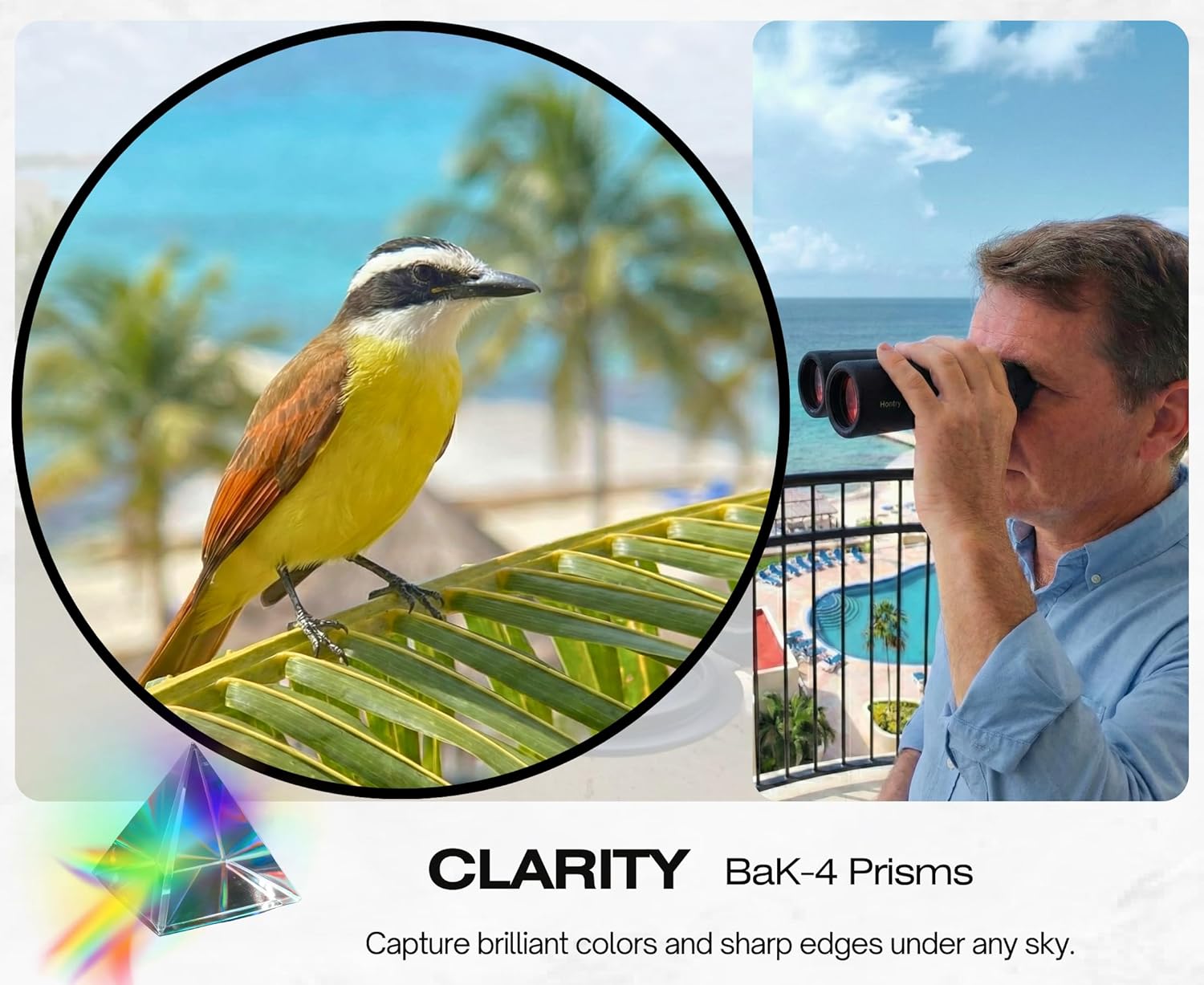 Hontry 10x42 Binoculars with IPX7 Waterproof Protection for Bird Watching, Hunting, Cruise Ship, Travel and Safari