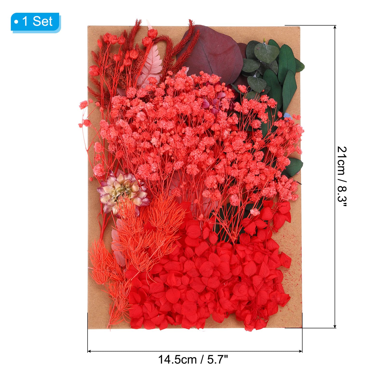PATIKIL Pressed Flowers for Craft Bulk Dried Flowers Natural Pressed Flowers Leaves for Resin Soap Candle Scrapbooking DIY Gift Papermaking - Image 2