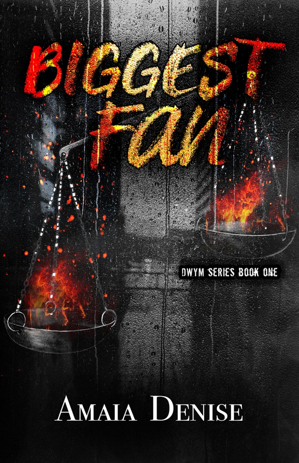 Biggest Fan: DWYM Series Book 1