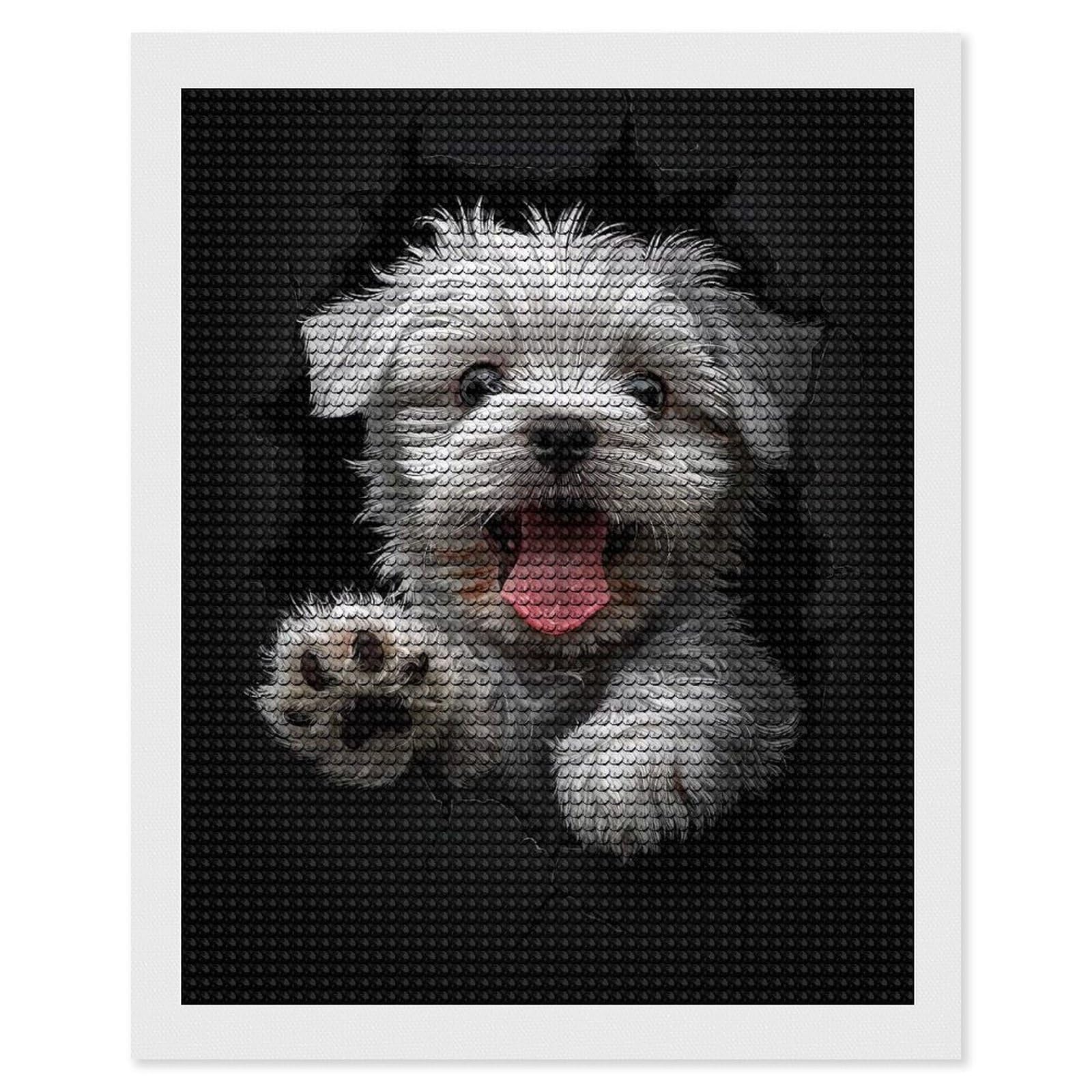 Junmoney Maltese(2) DIY Diamond Art Canvas Kit 16"x20", Simple to Start, Fun Craft Experience, Modern Decor, Gift Idea, Adhesive Canvas