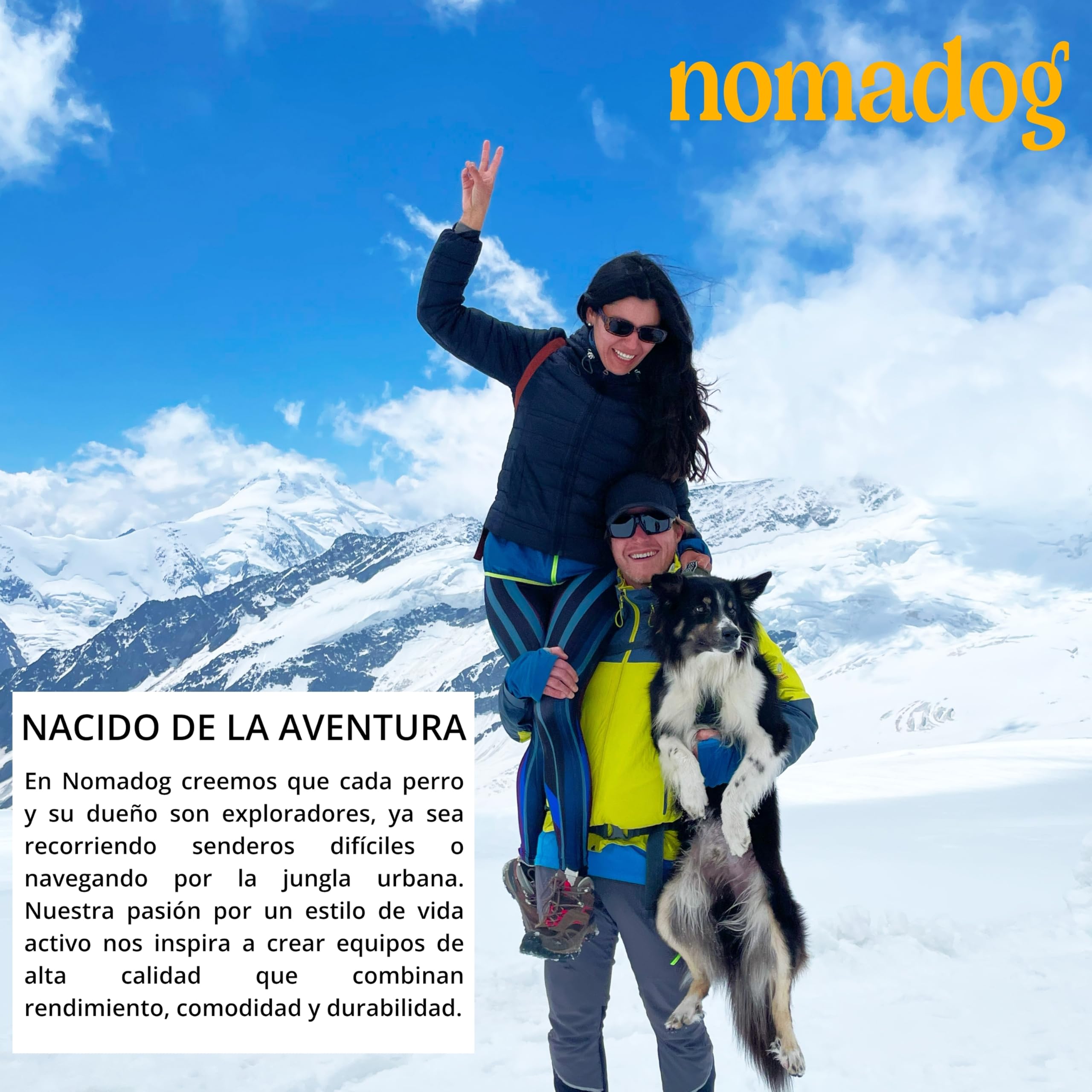 Nomadog Trailblazer Arnes Perro Grande Sin Tirones con Asa - Ajuste Óptimo, Reflectante 3M, Aluminio No Oxidante, Materiales Reciclados - Ideal para Perros Activos (XL)