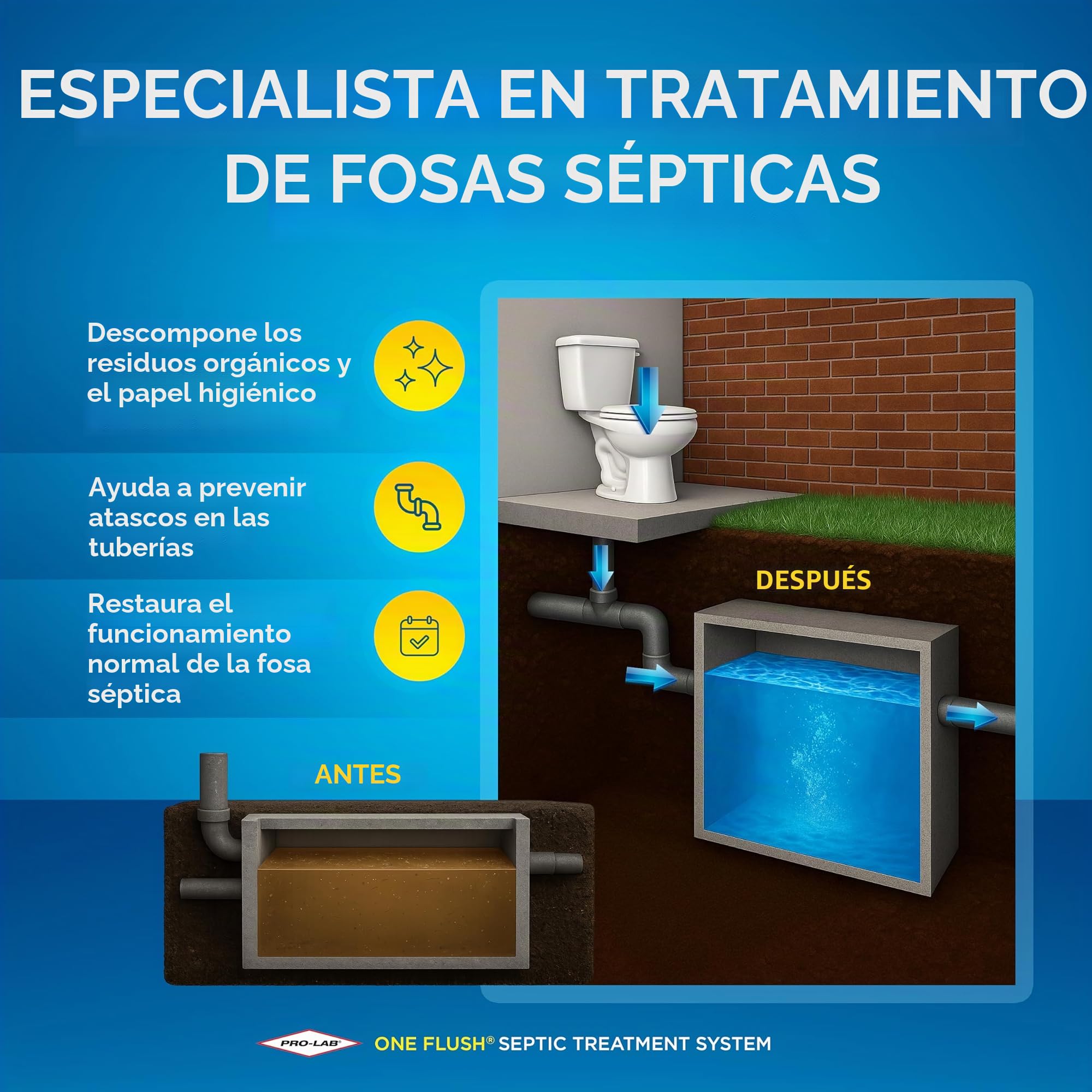 Tratamiento de tanque séptico – 1 año de suministro de tratamiento séptico – Paquetes de tratamiento de tanque séptico soluble – Utiliza paquetes de enzimas de tratamiento séptico mensualmente para